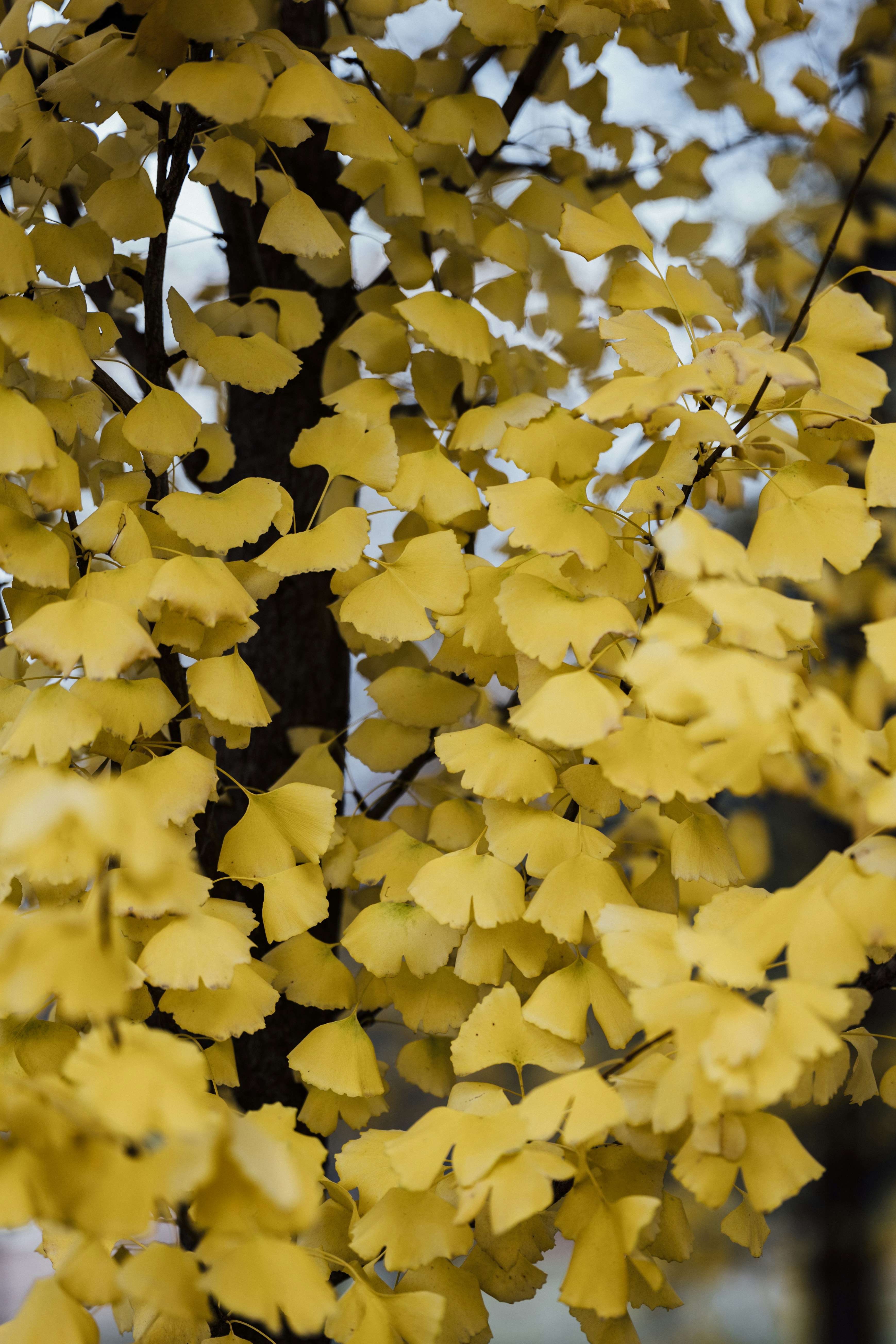 Photo by summerobelisk