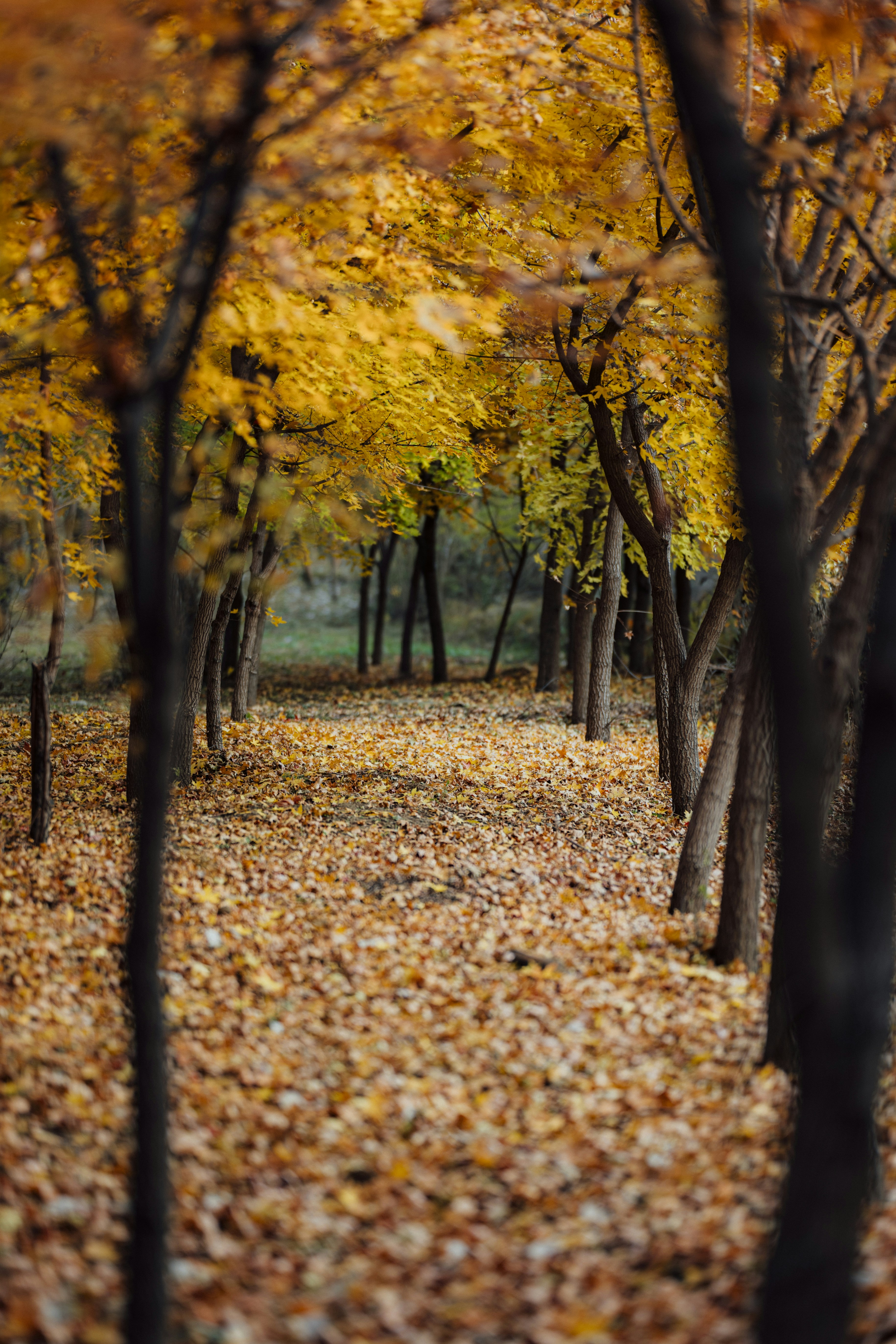 Photo by summerobelisk