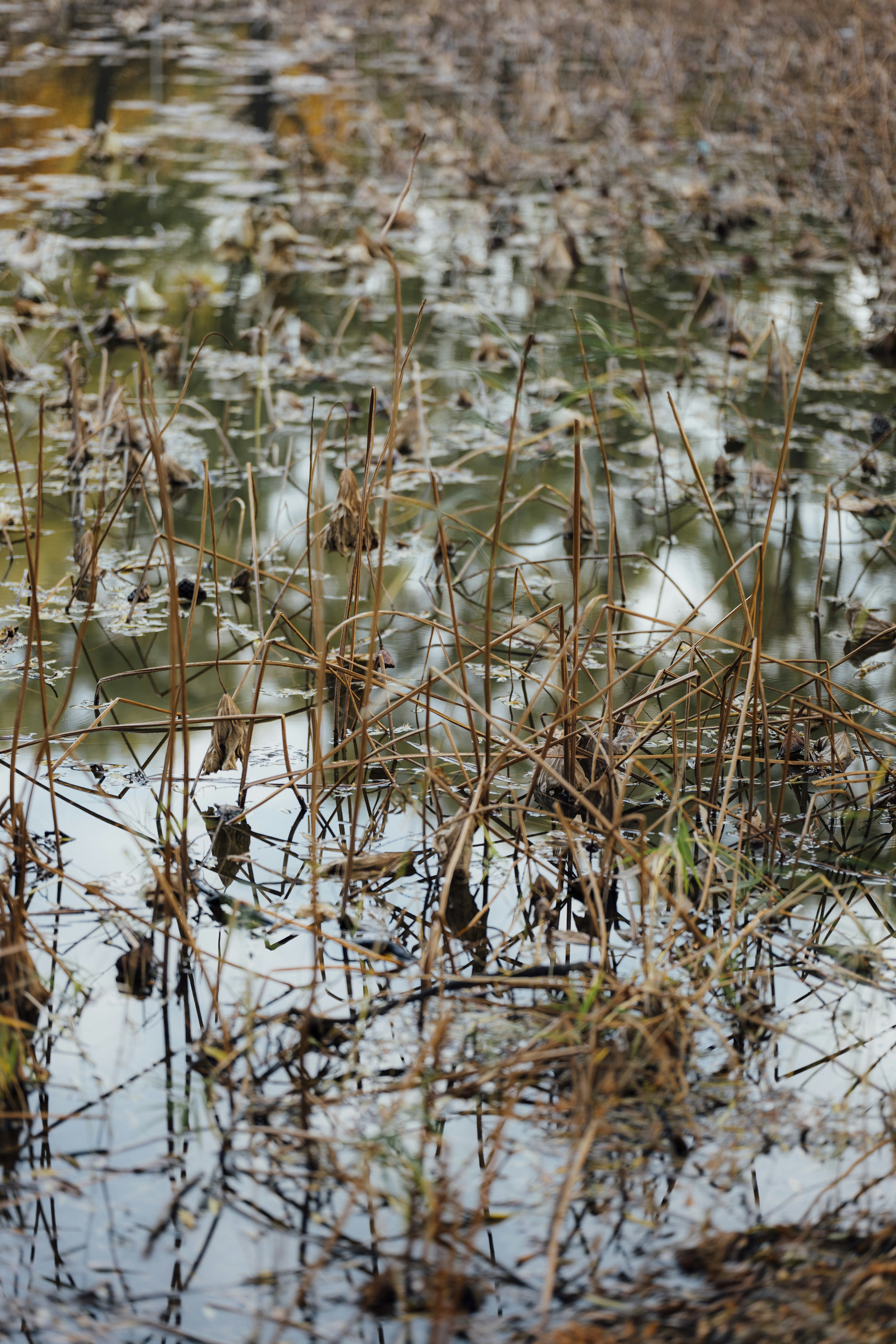 Photo by summerobelisk