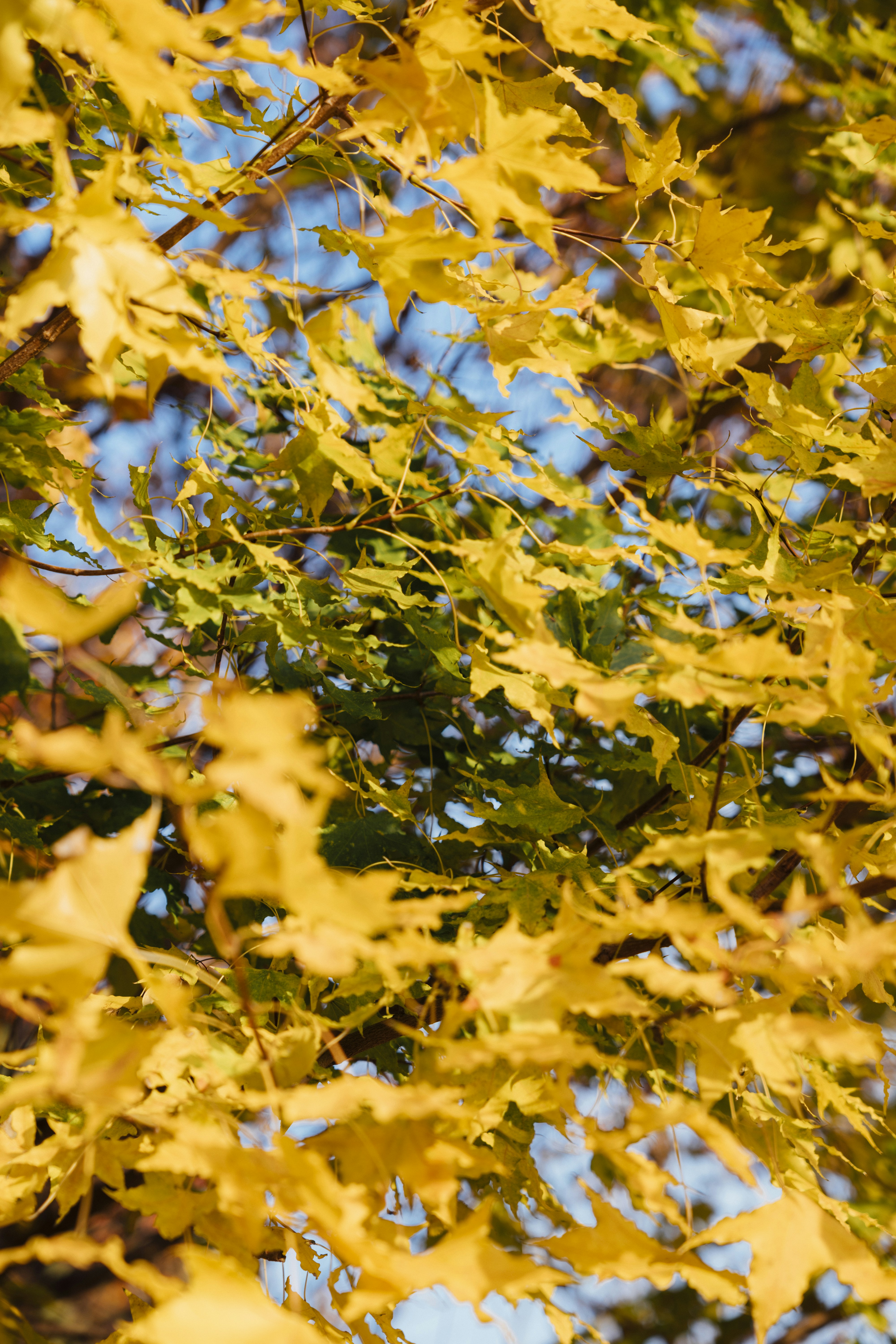 Photo by summerobelisk