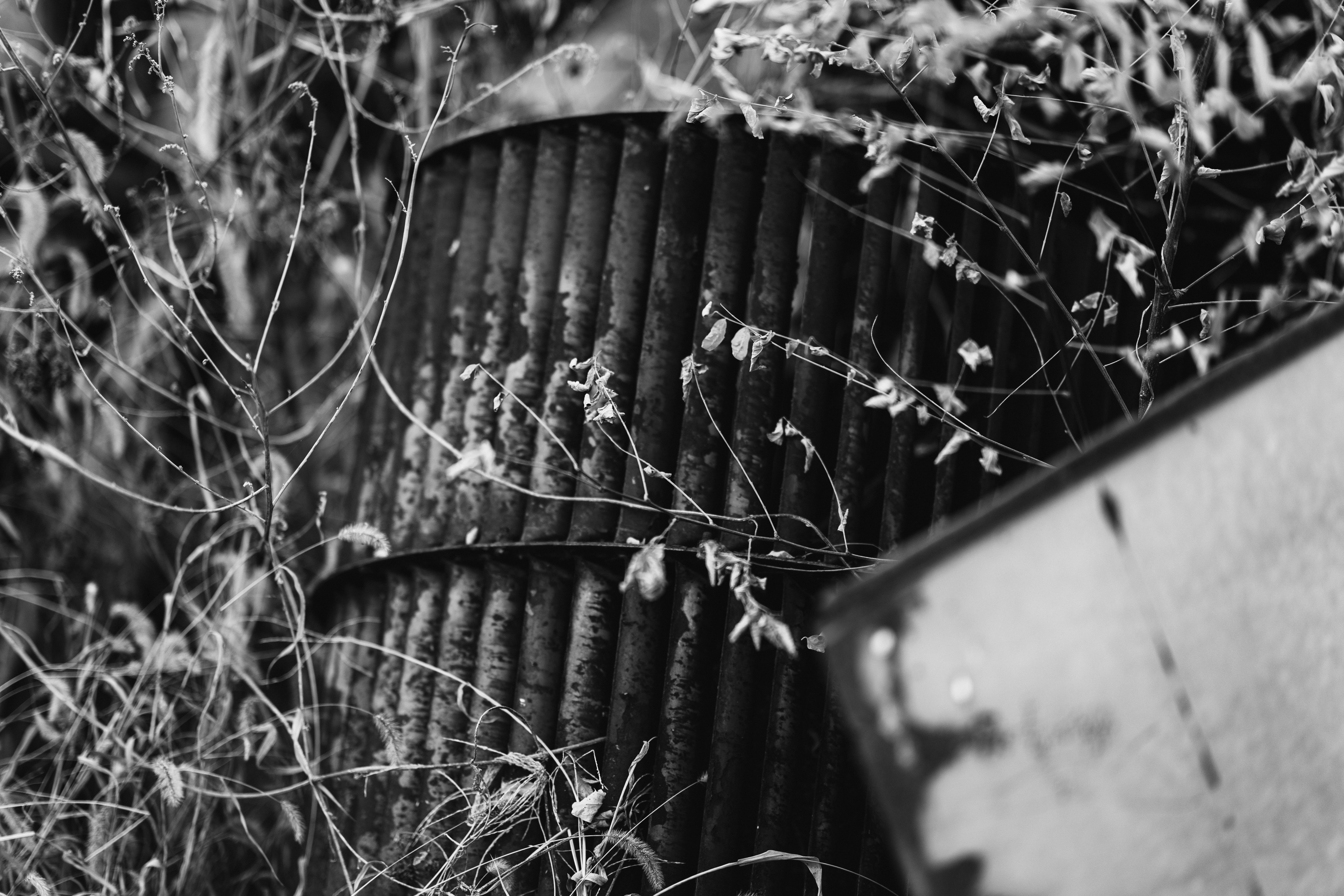 Photo by summerobelisk