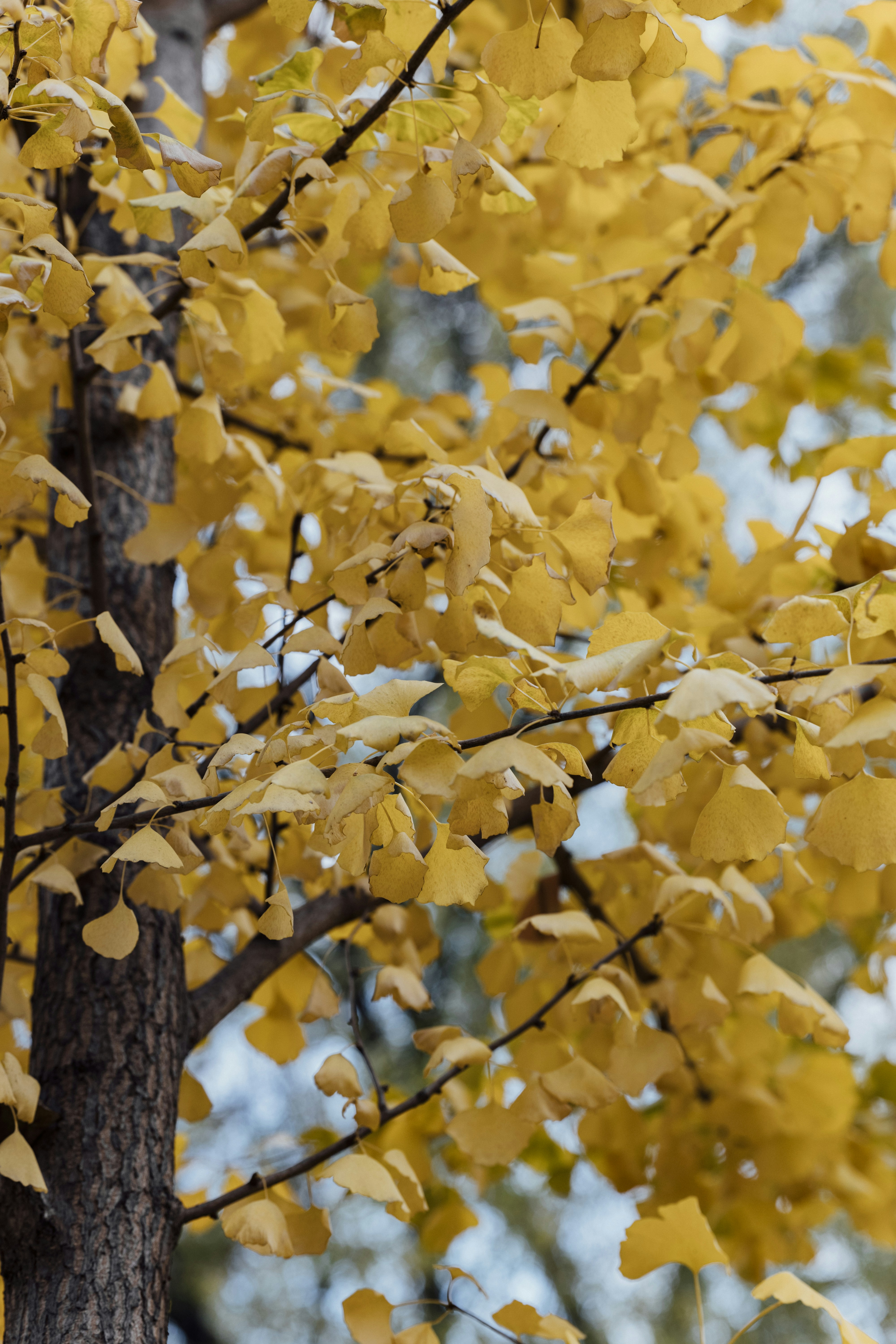 Photo by summerobelisk