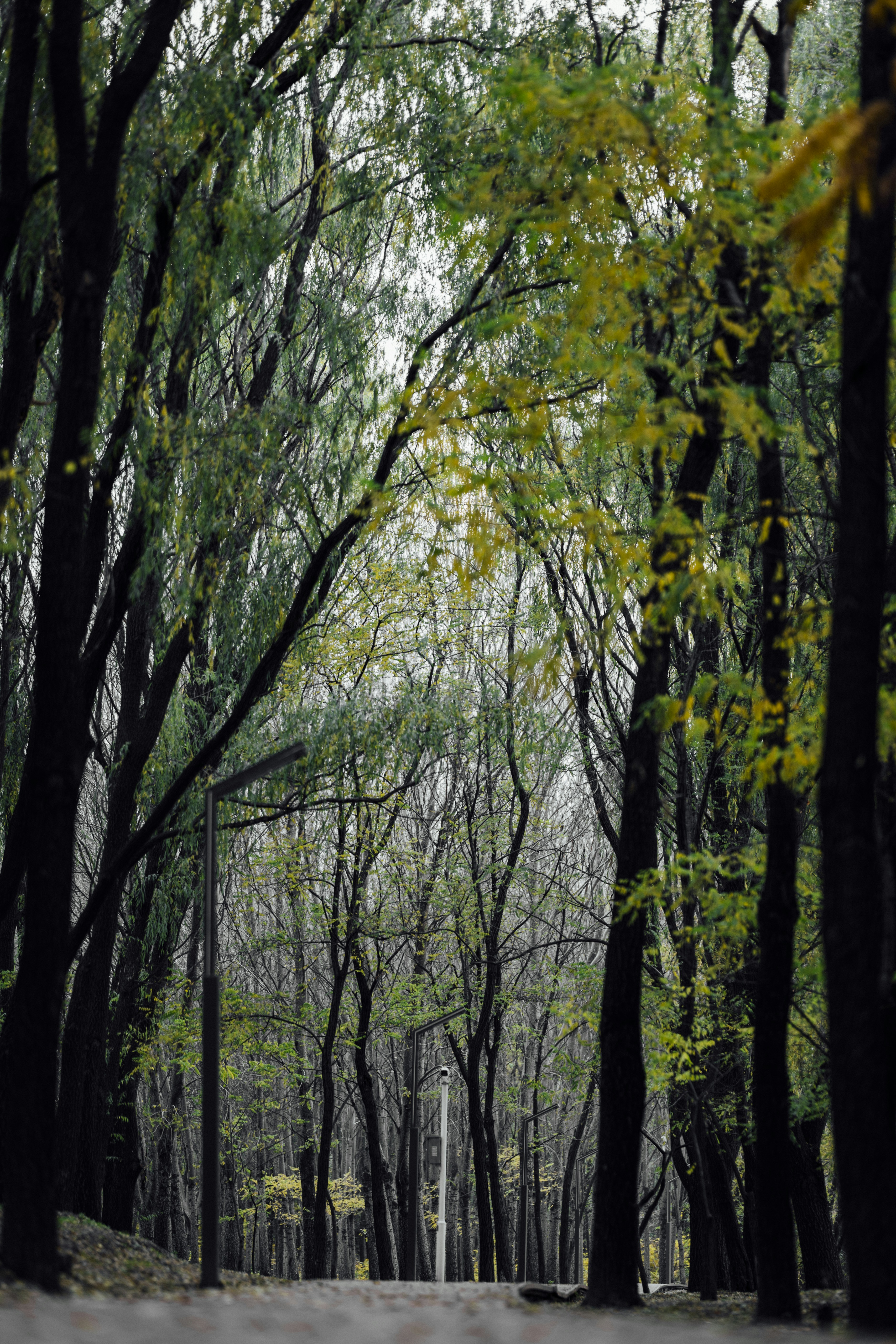 Photo by summerobelisk