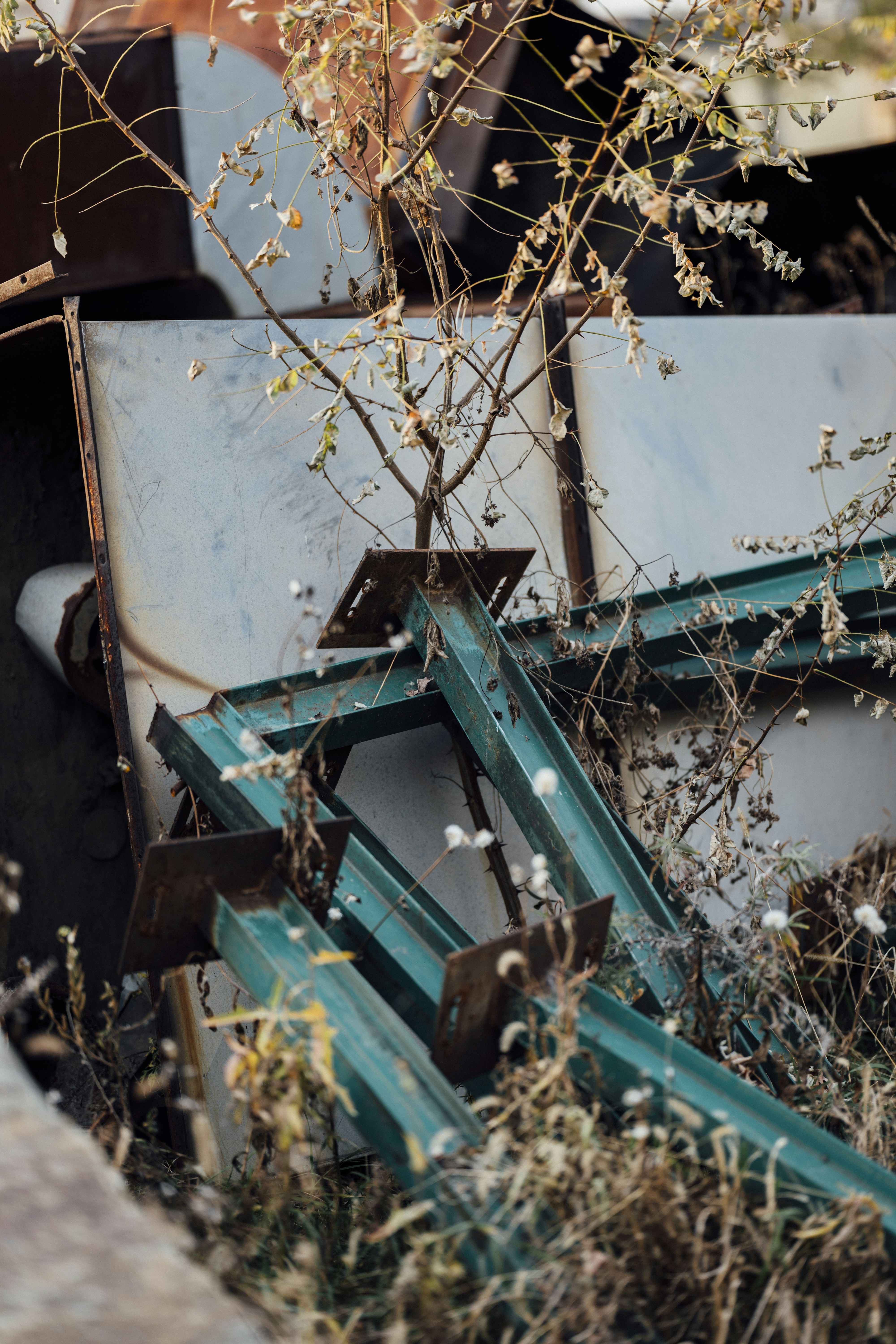 Photo by summerobelisk