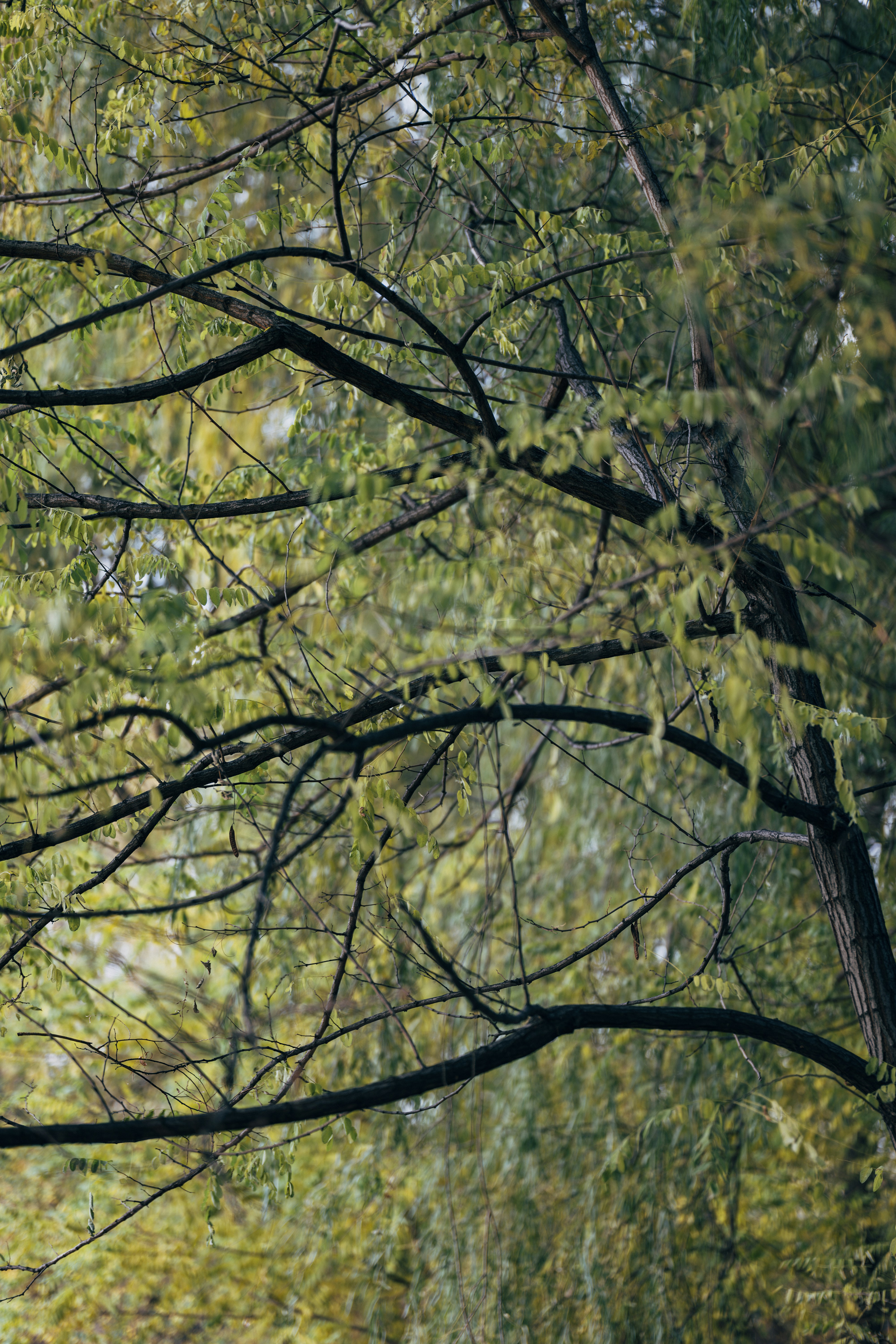 Photo by summerobelisk