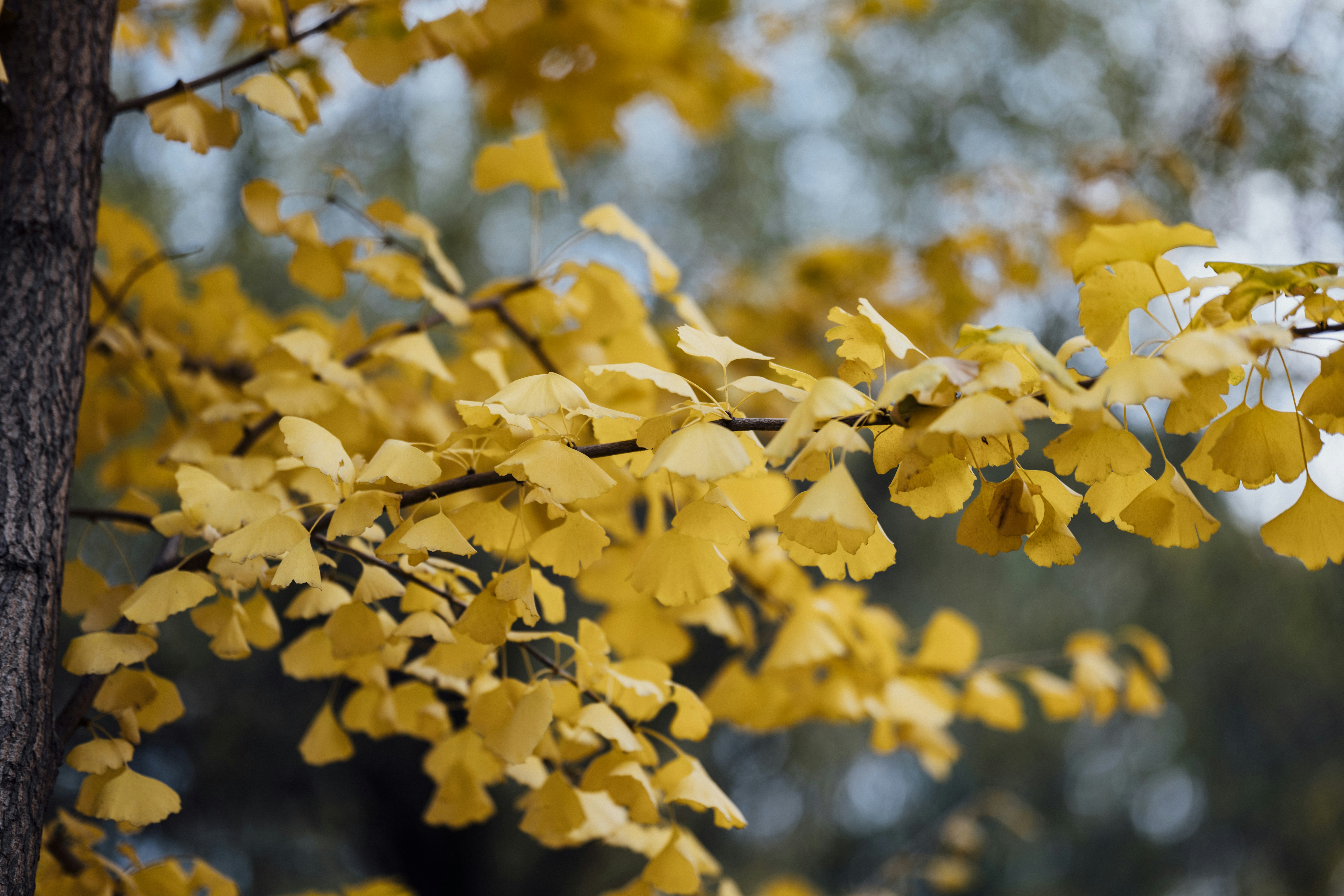 Photo by summerobelisk