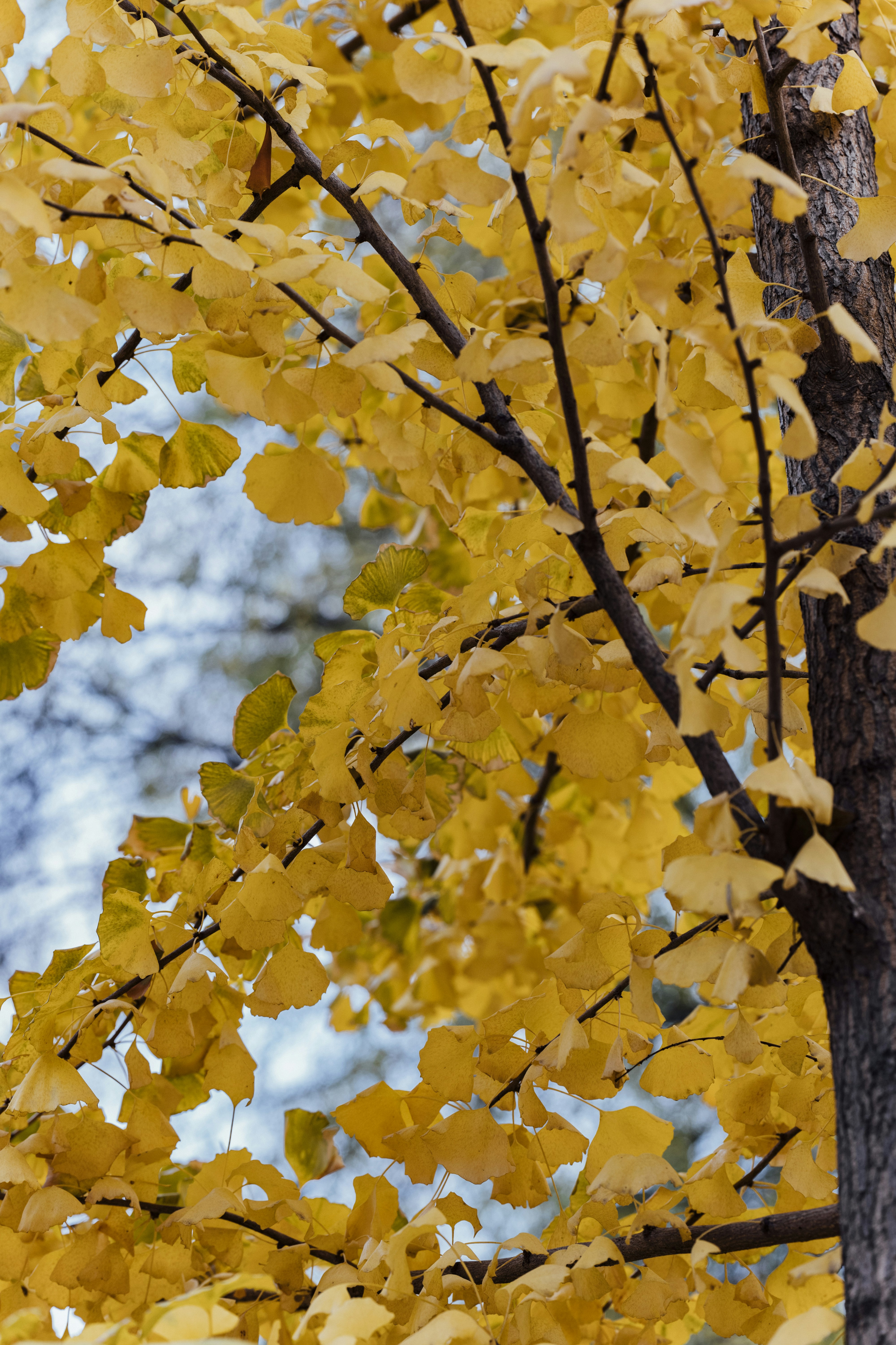 Photo by summerobelisk