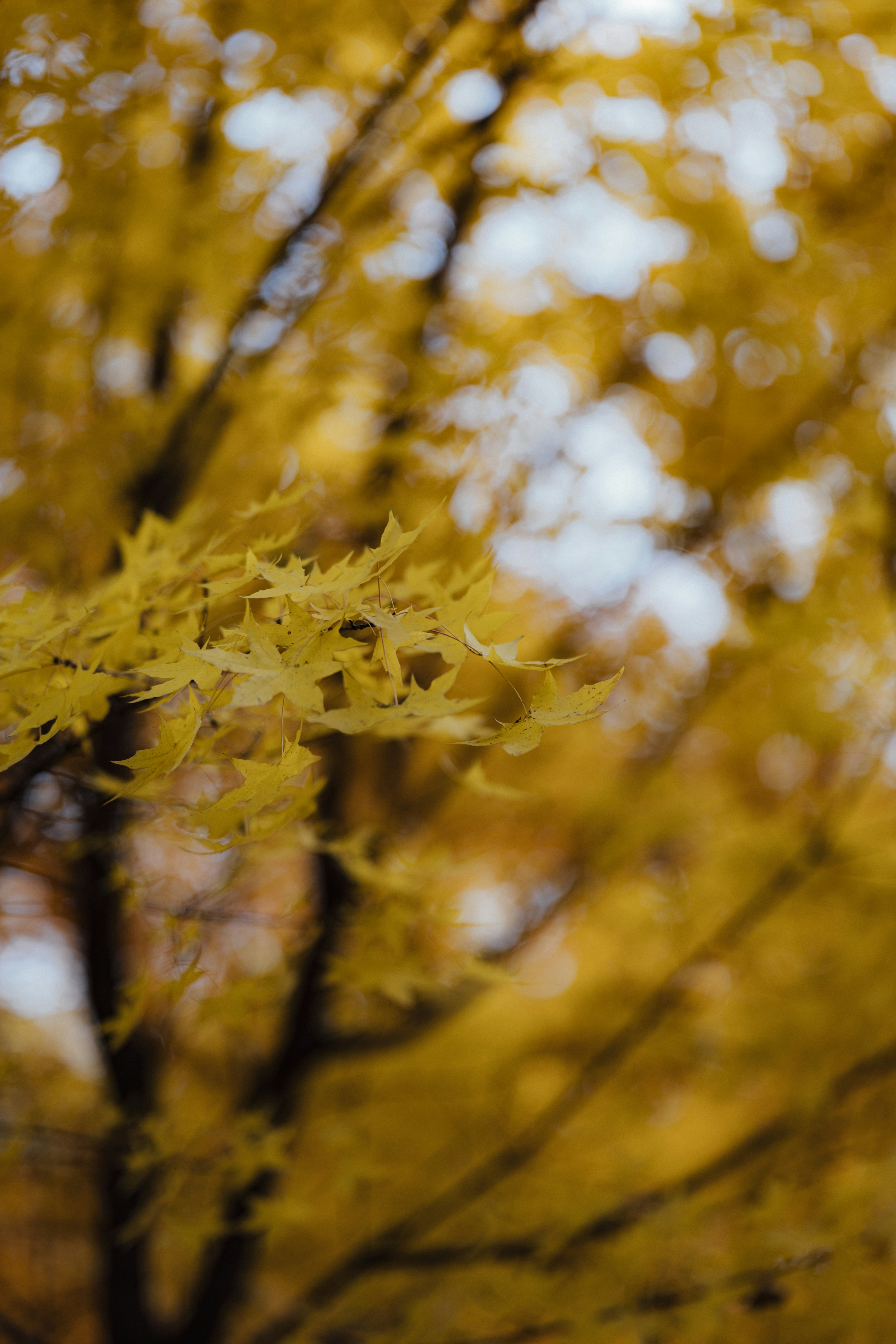 Photo by summerobelisk