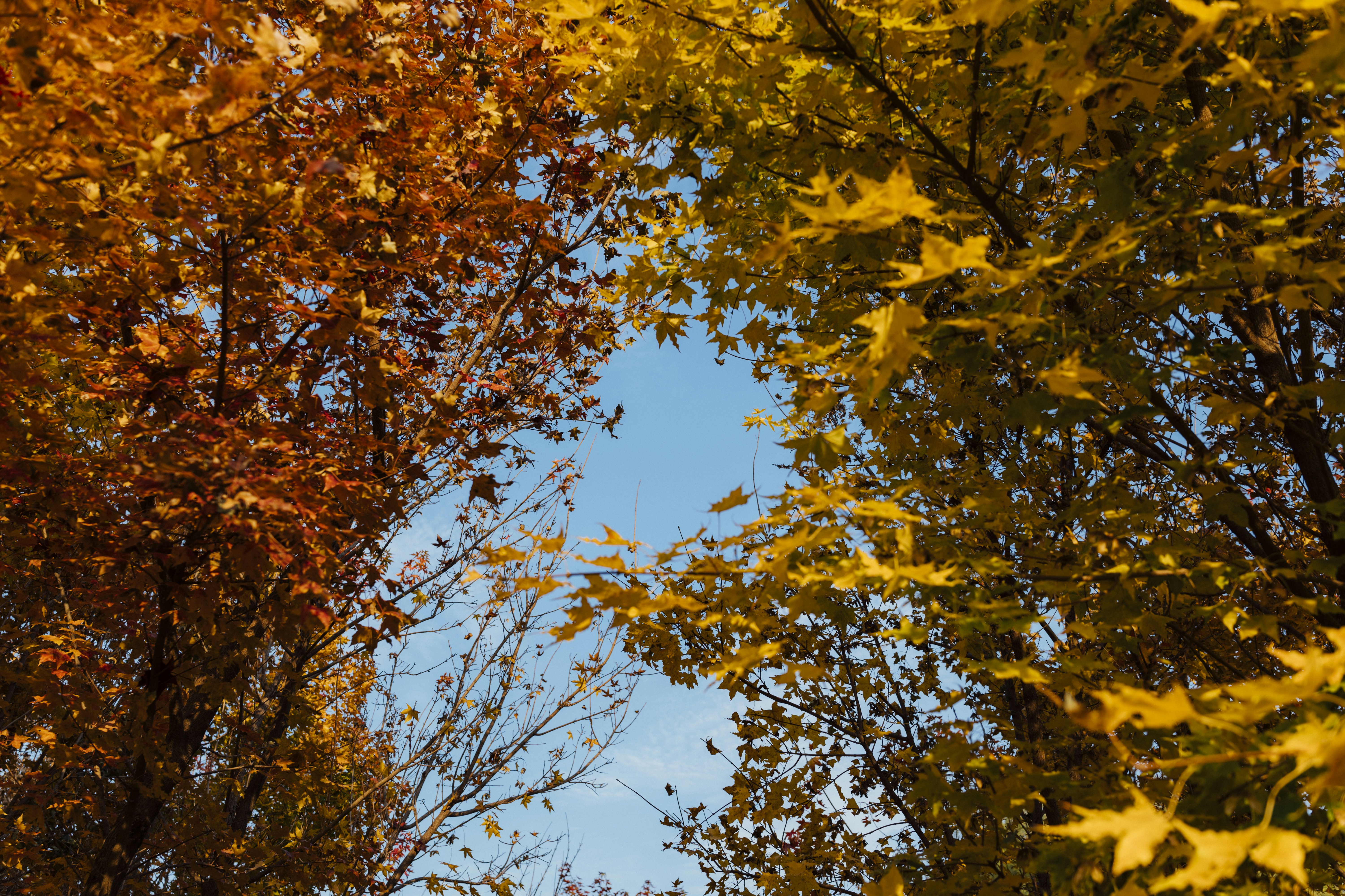 Photo by summerobelisk