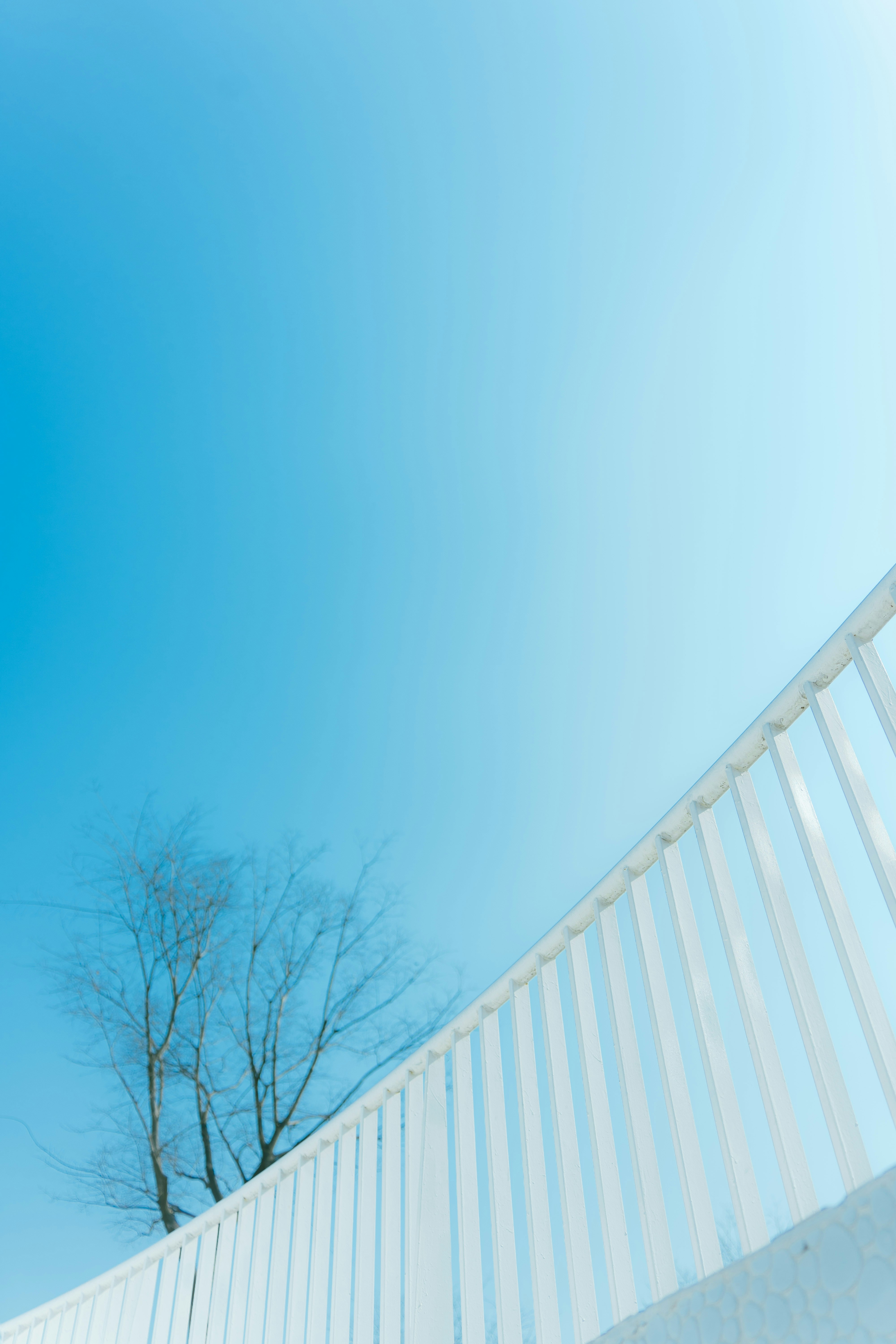 Photo by xiexianghua