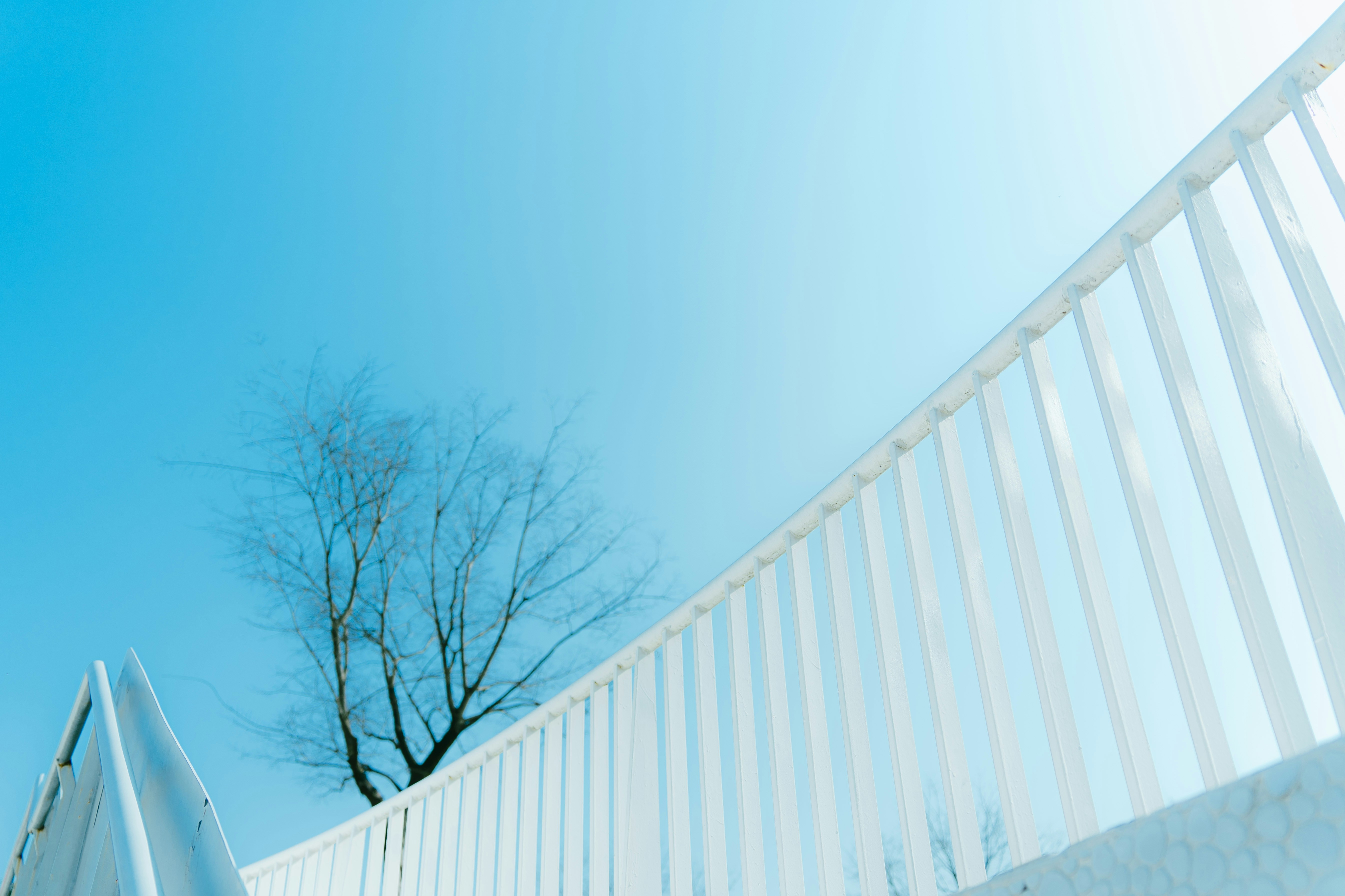 Photo by xiexianghua