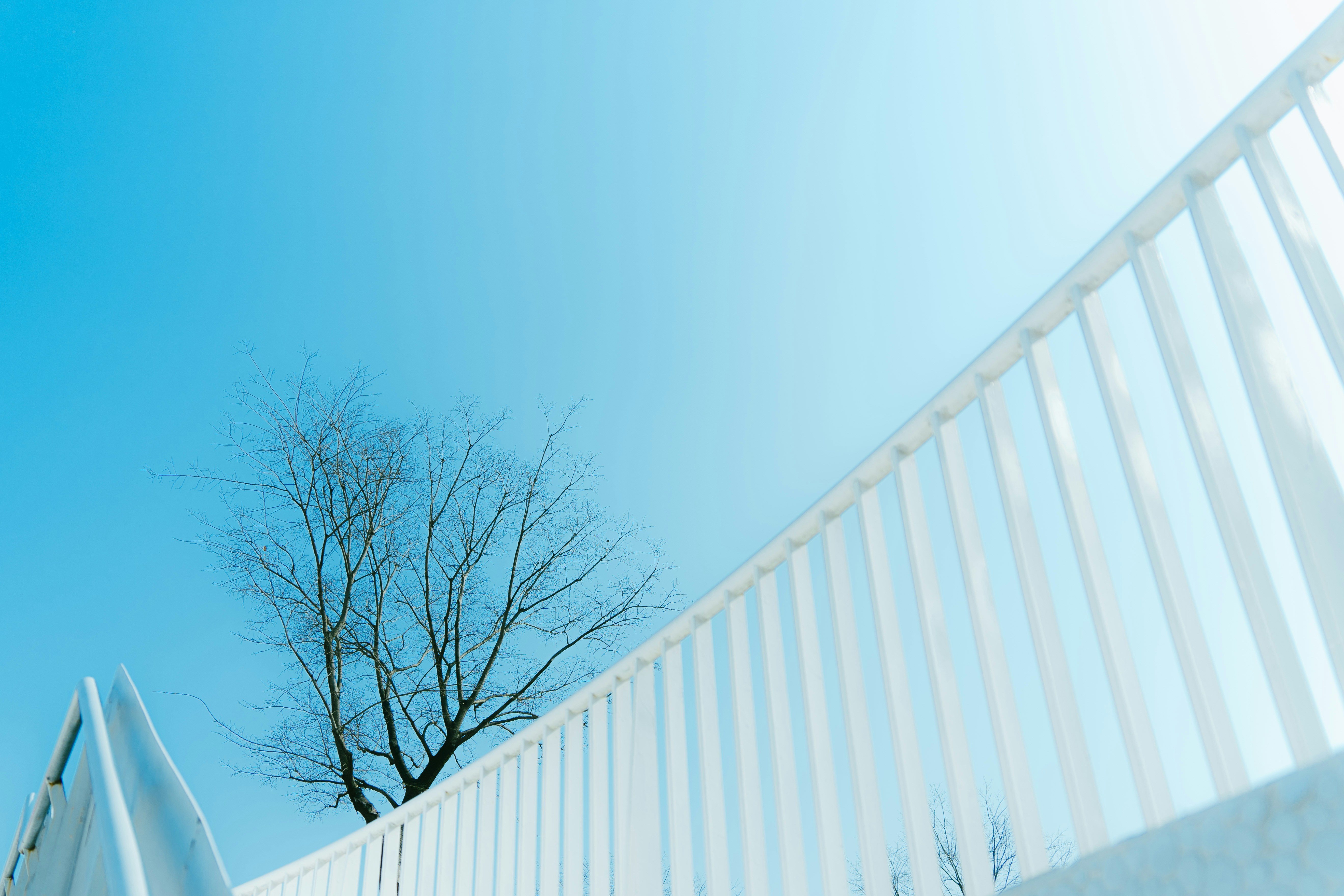 Photo by xiexianghua