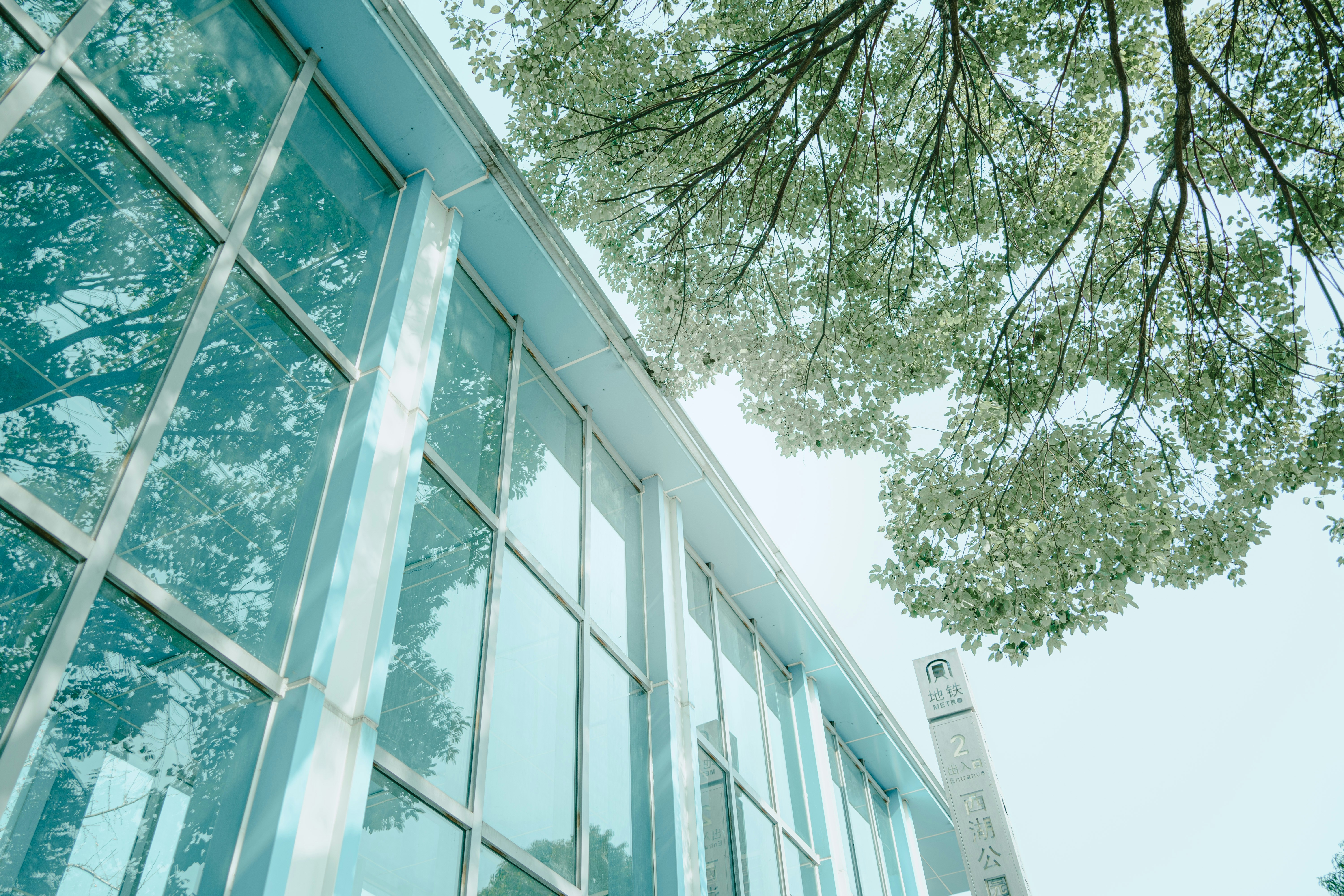 Photo by xiexianghua