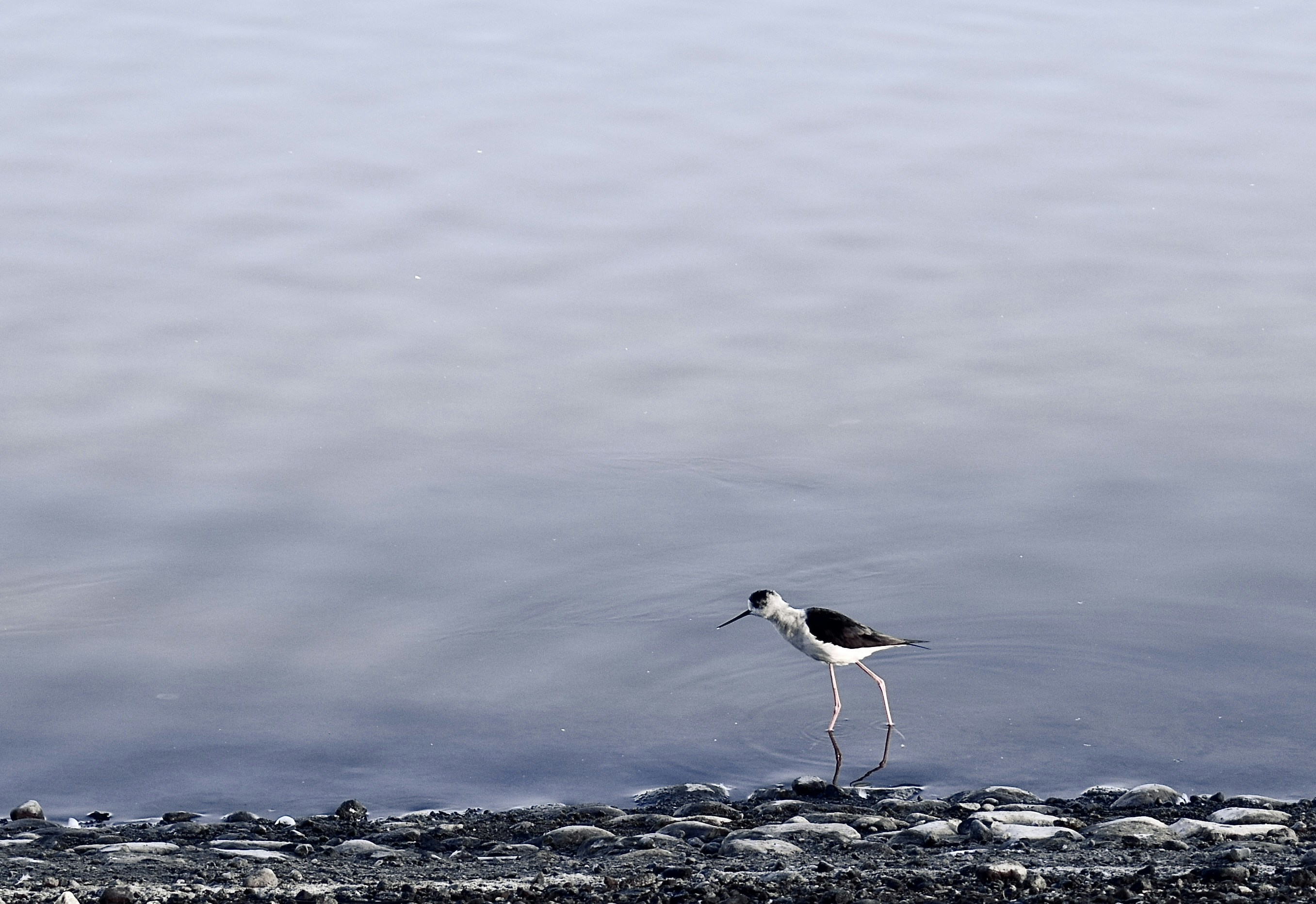 Photo by treb_vinas24