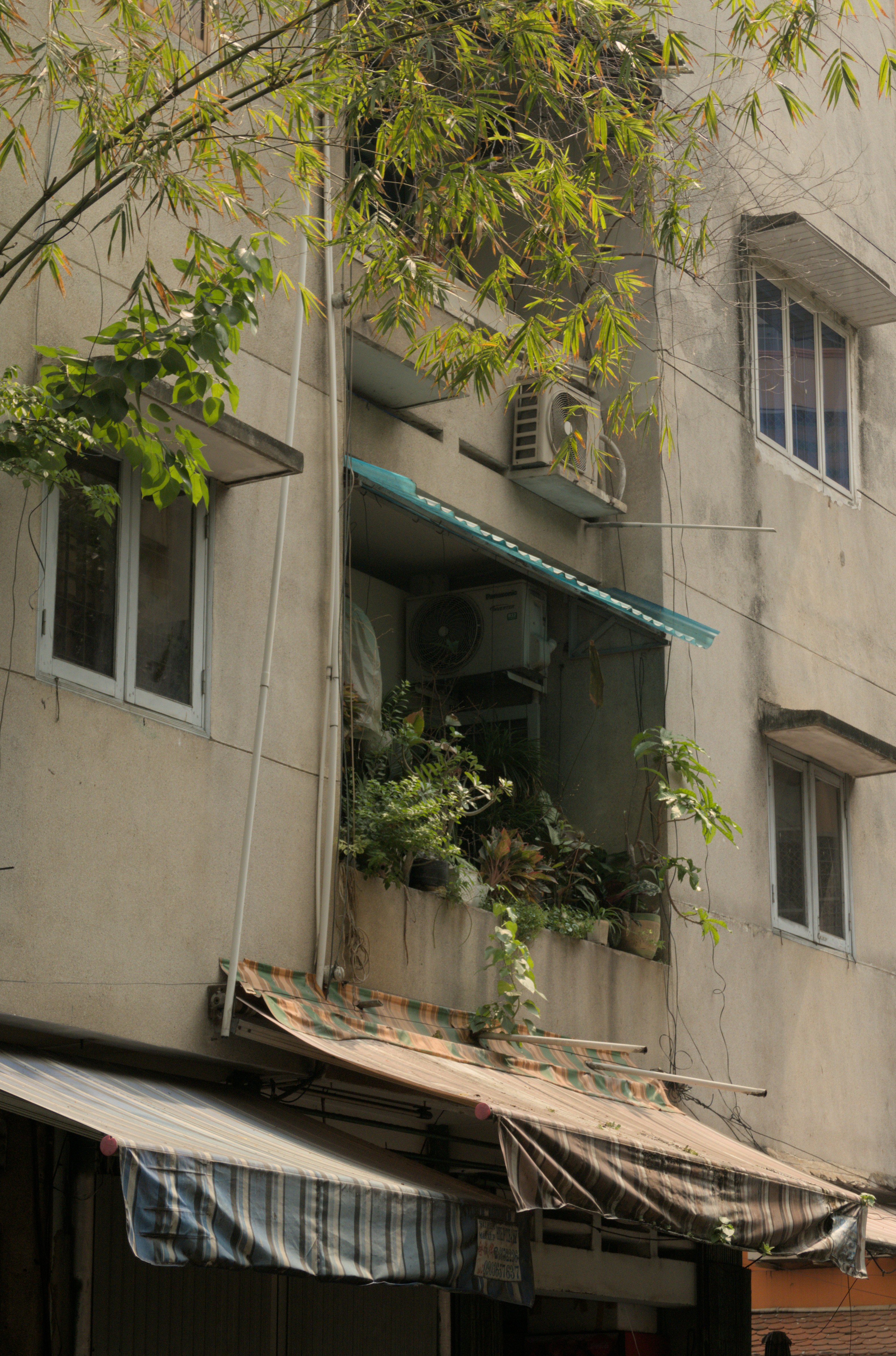 Photo by swetrad1712