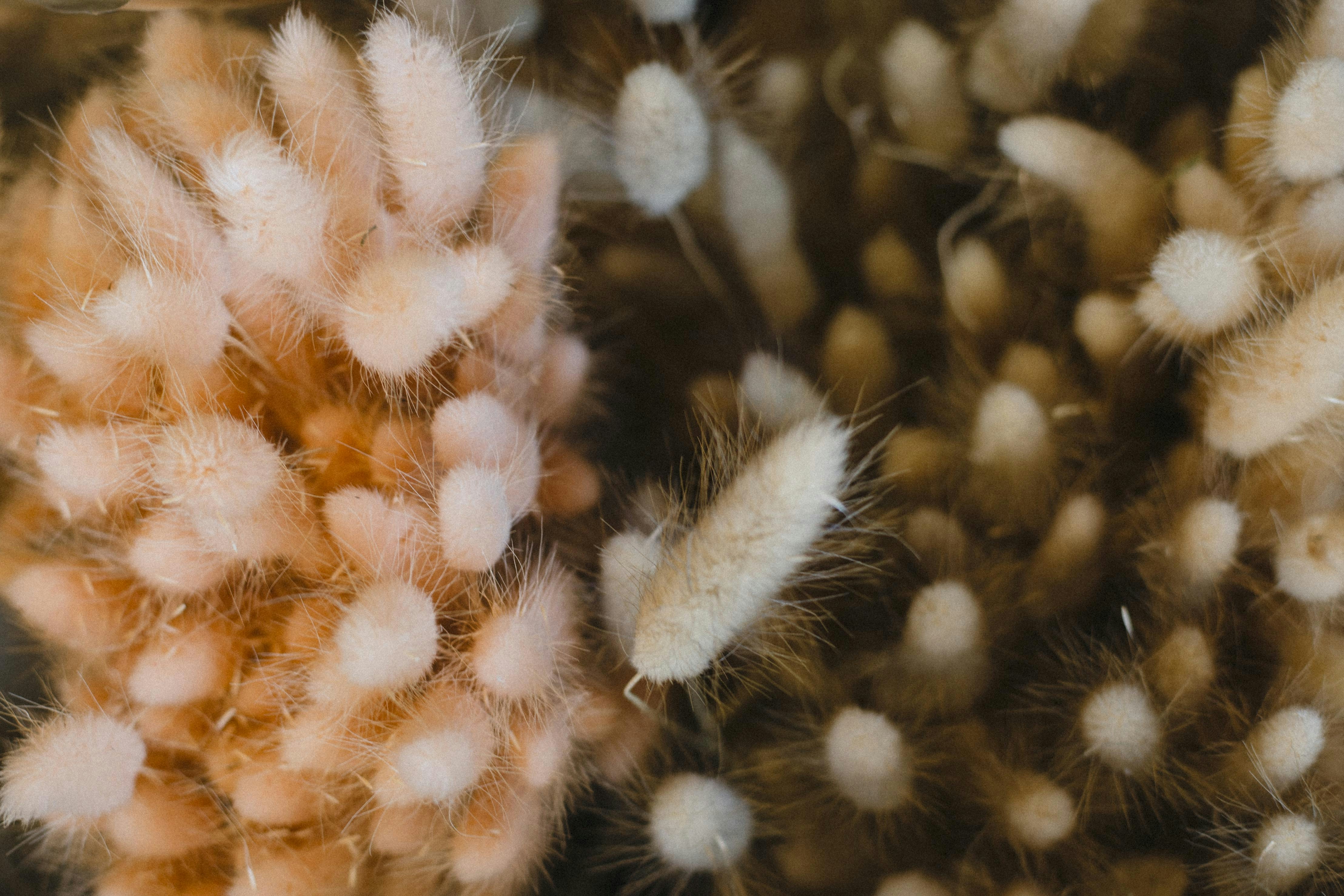 Photo by i_am_simoesse