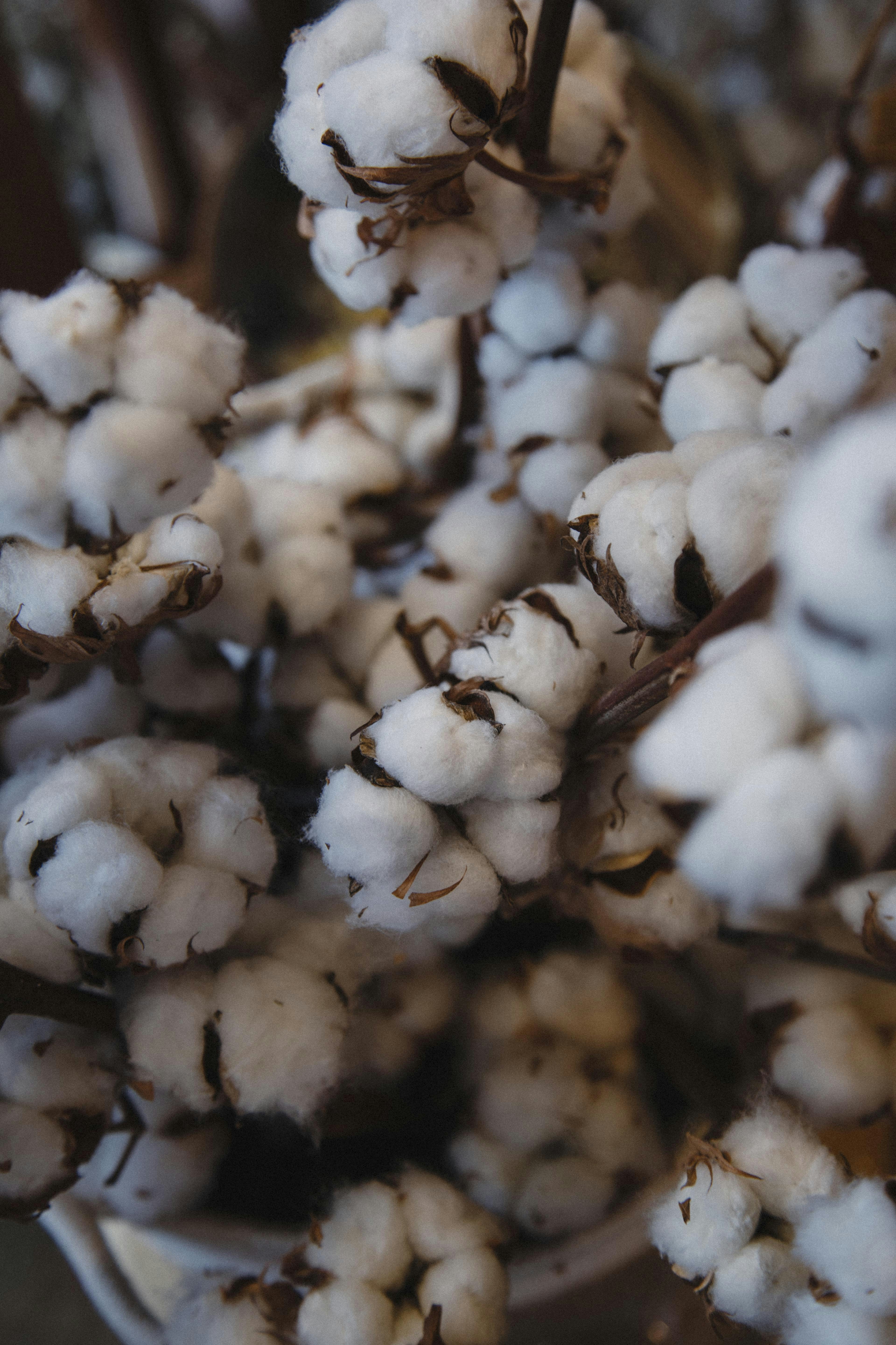 Photo by i_am_simoesse