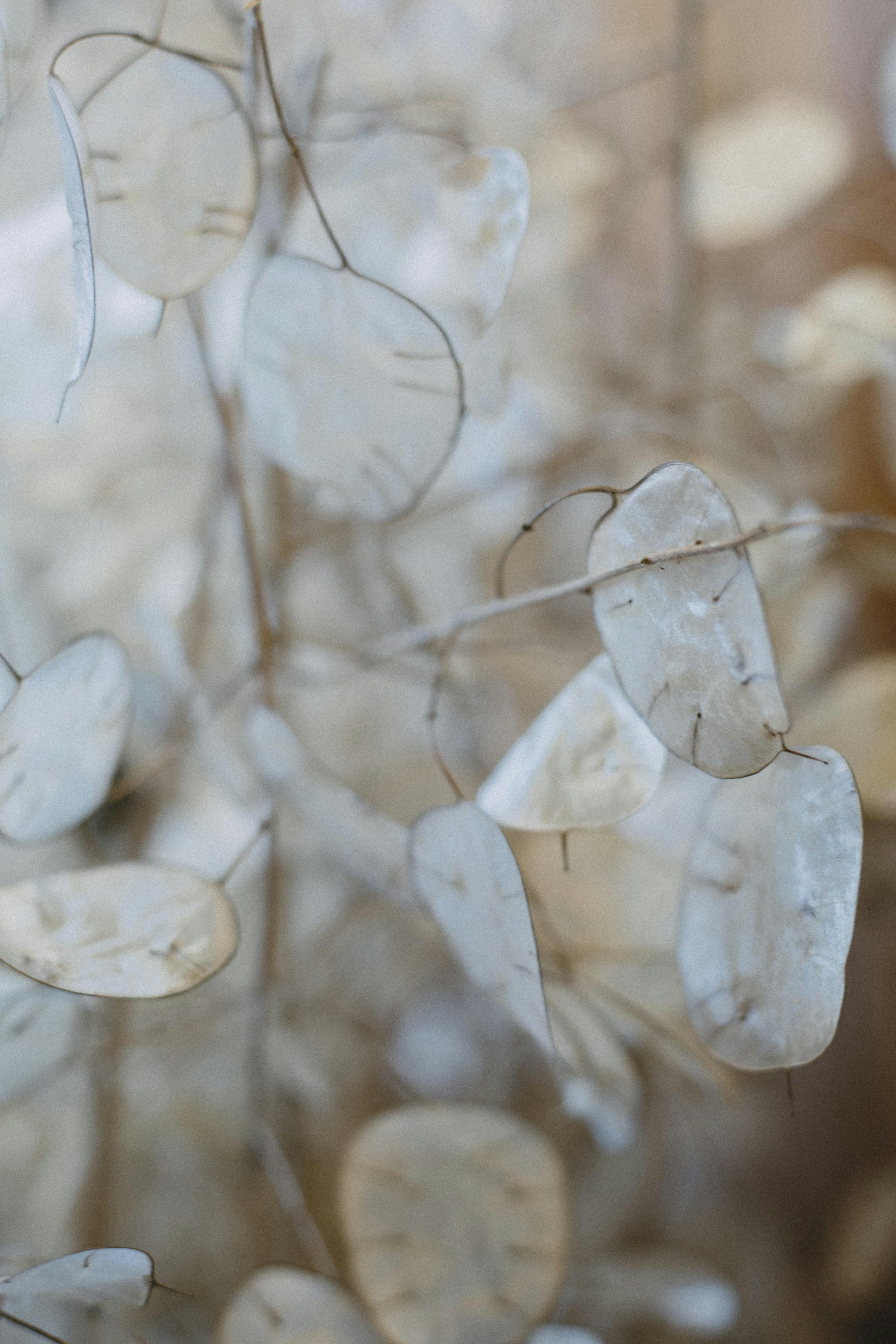 Photo by i_am_simoesse