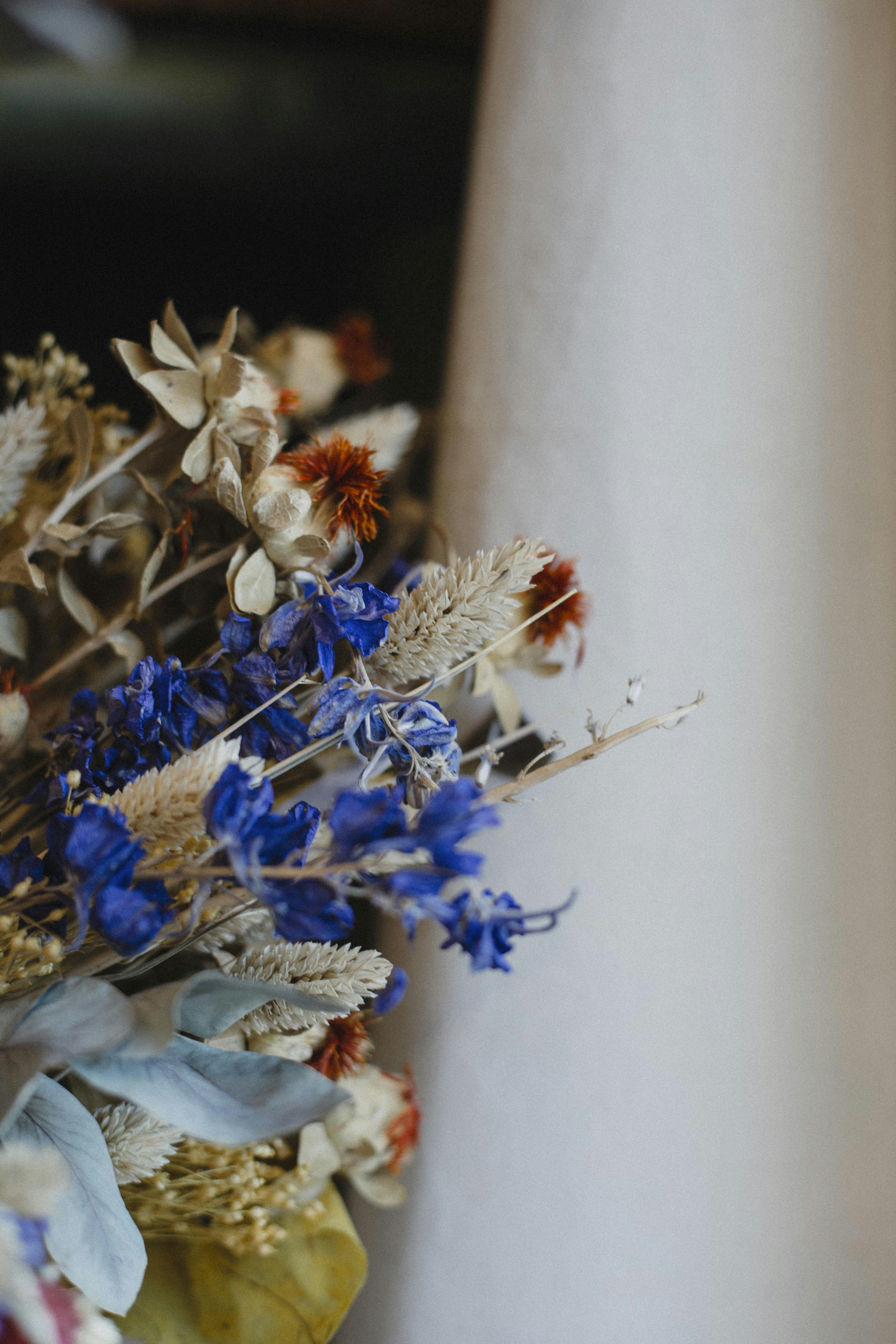 Photo by i_am_simoesse