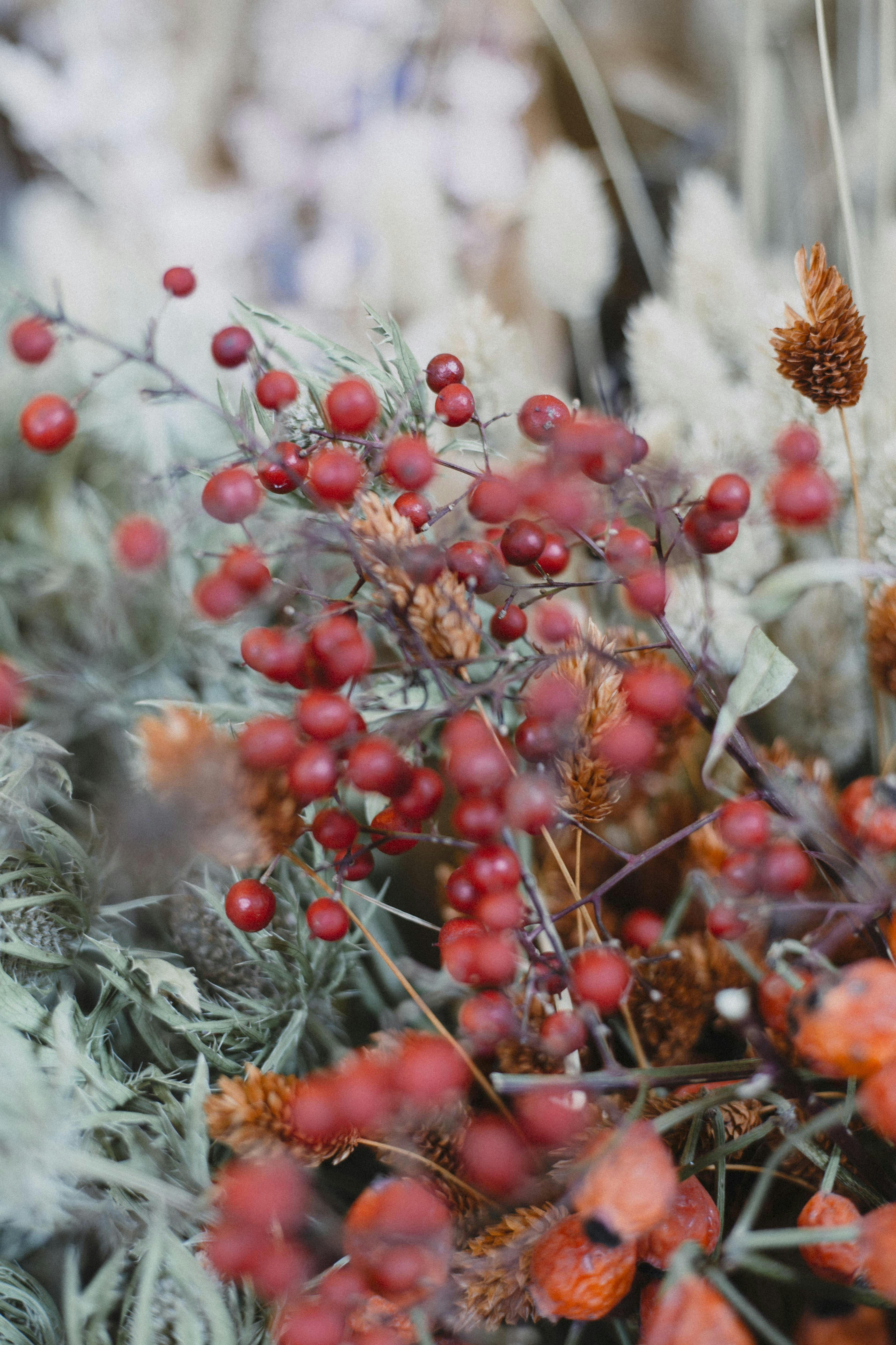 Photo by i_am_simoesse