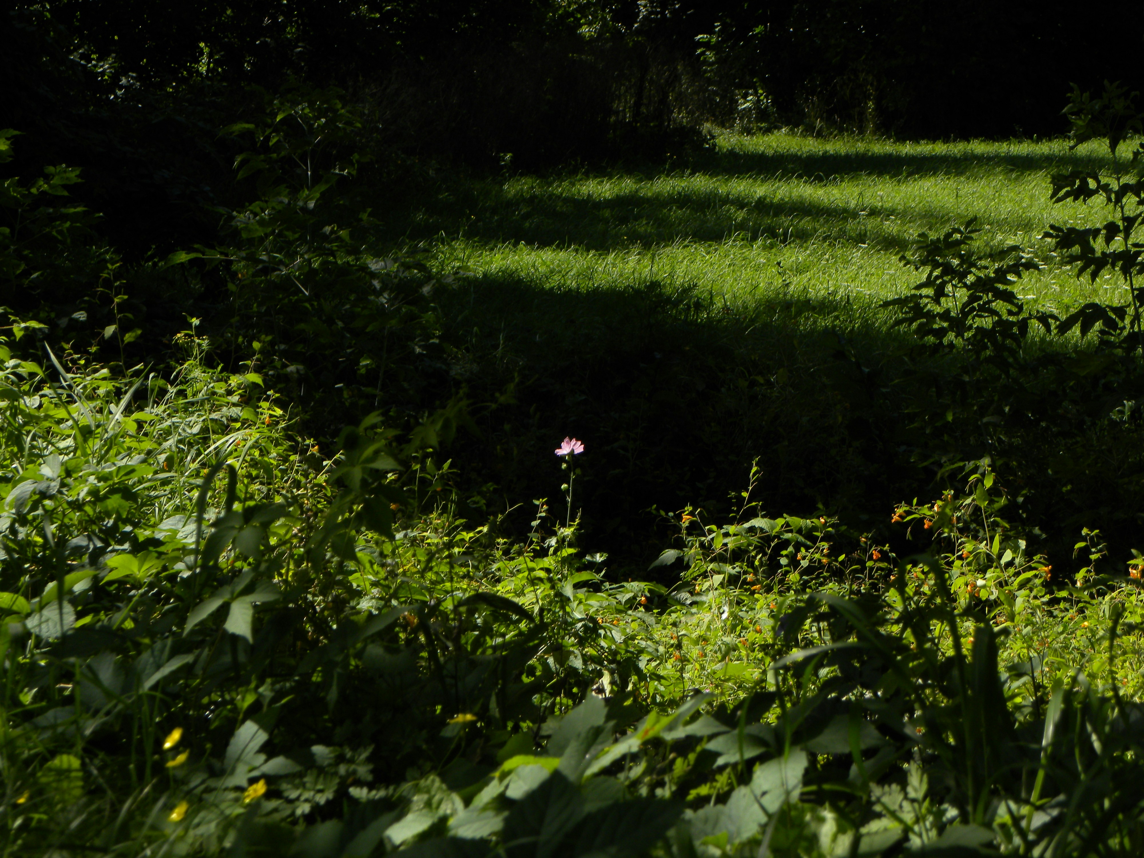 Photo by dunigan