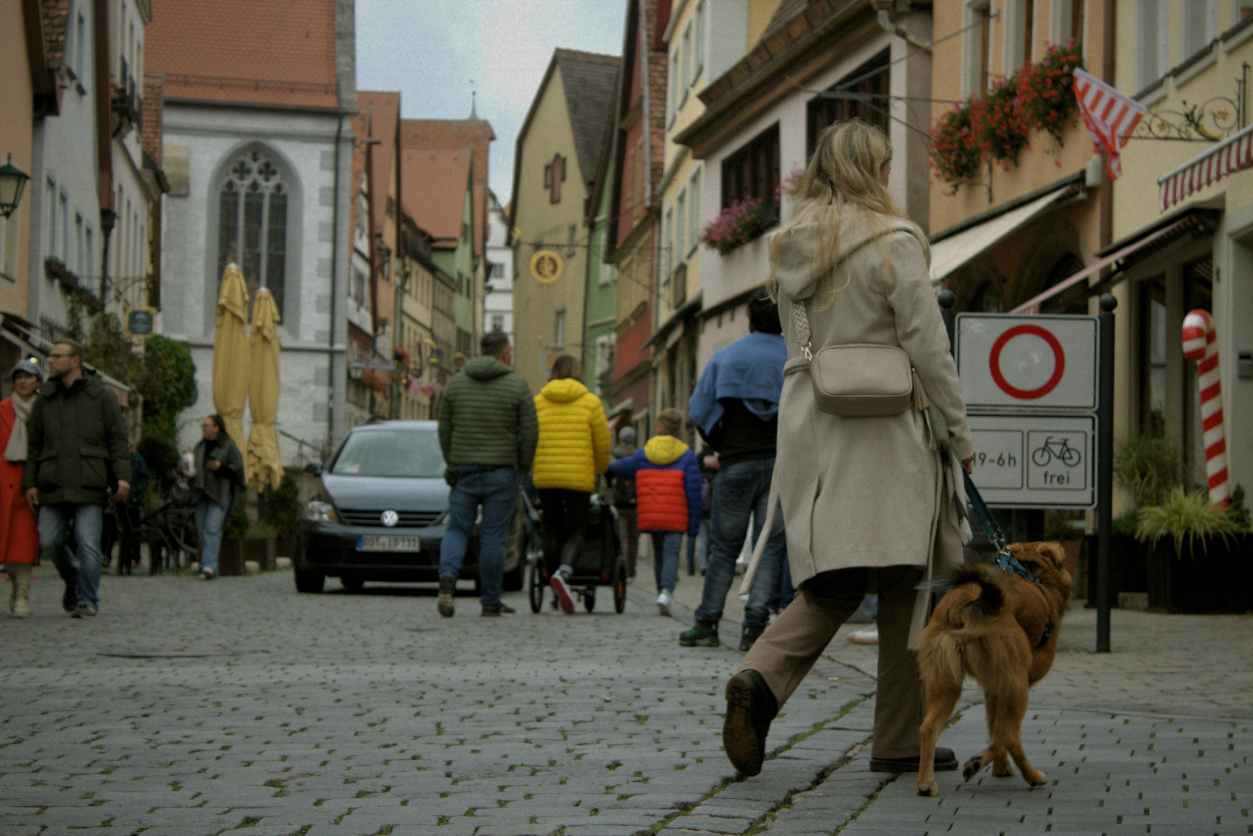 Almanya'da evcil hayvan sahiplenme maliyetlerini temsil eden, Euro madeni paralar ve bir köpek mamasının yanında duran hesap makinesi görseli.