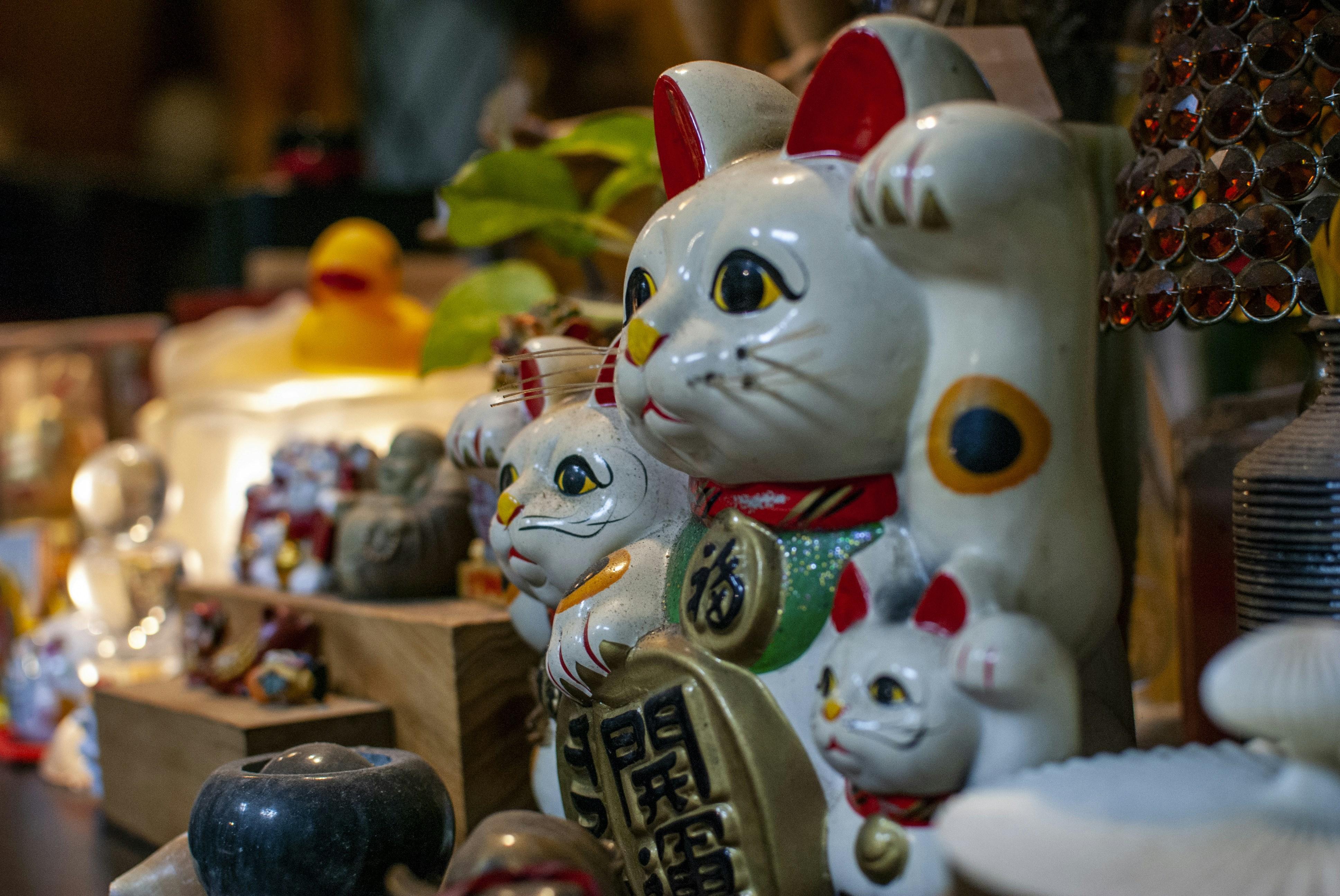 Cultural Impact: How Cats Changed Human Society (image credits: unsplash)
