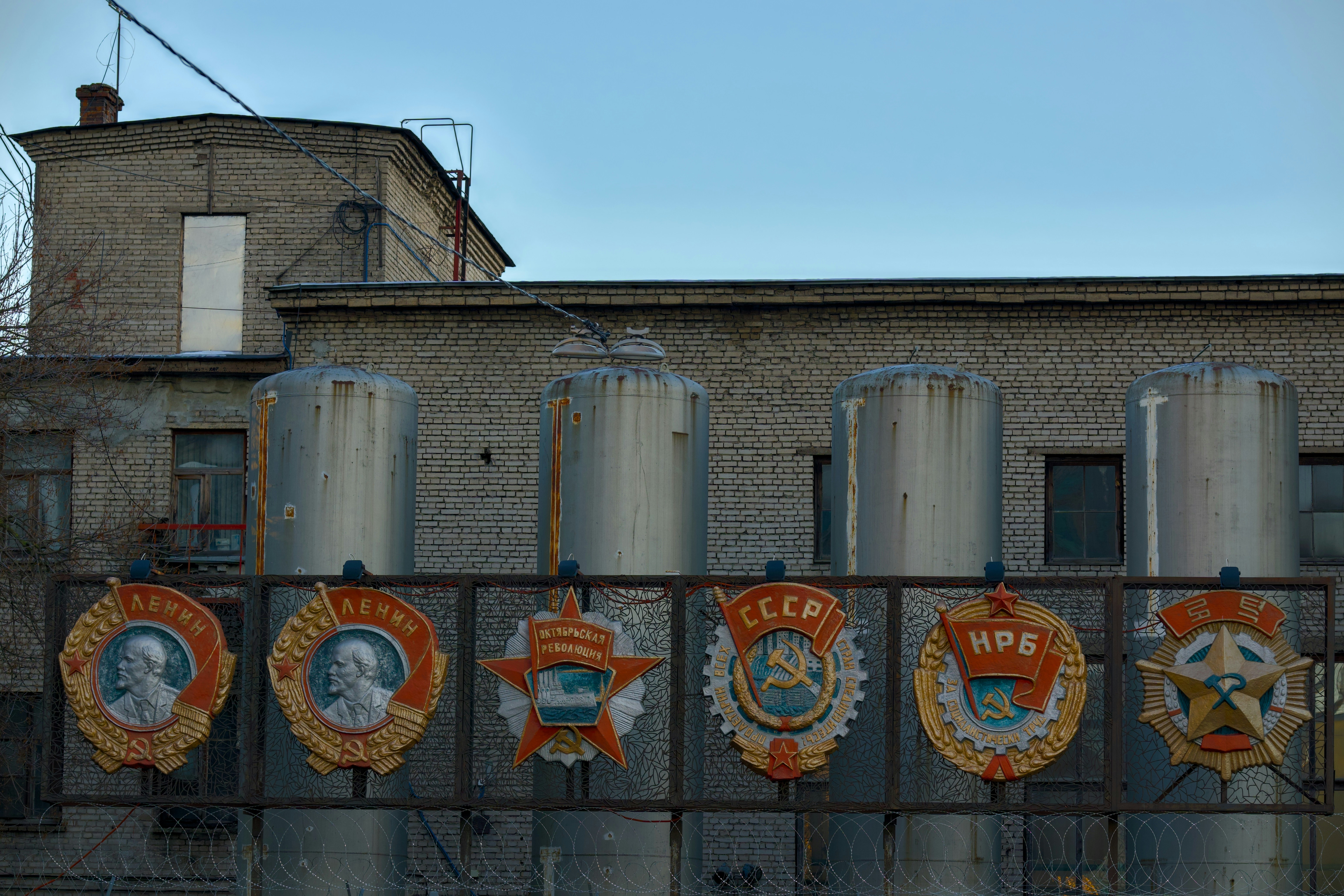 健身菜鳥突變筋肉猛男，只因這招？