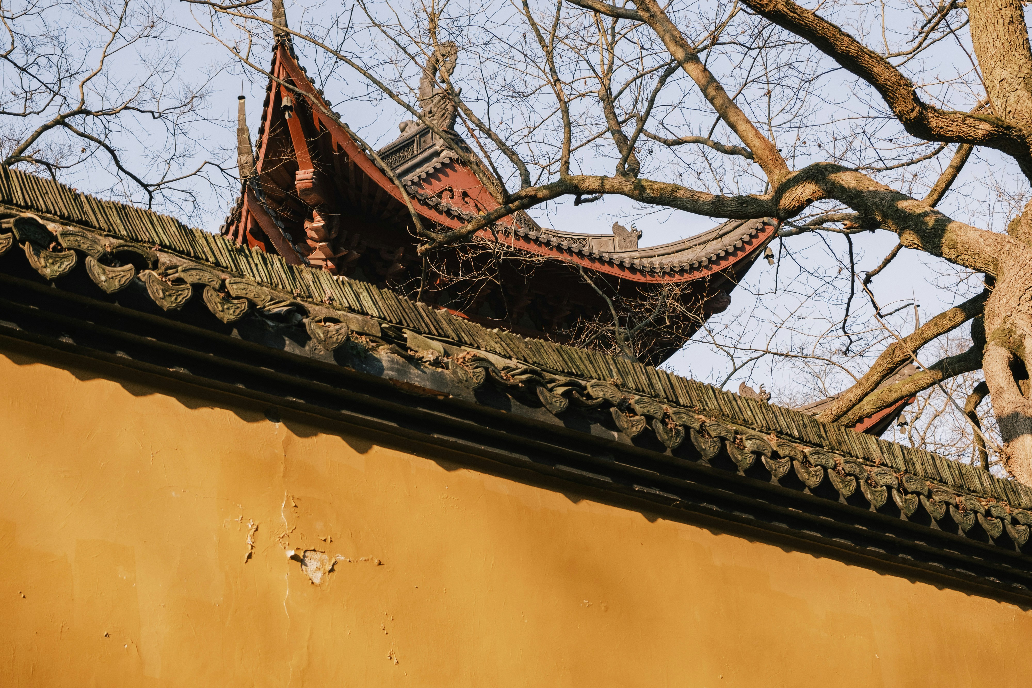 Photo by samuelwu