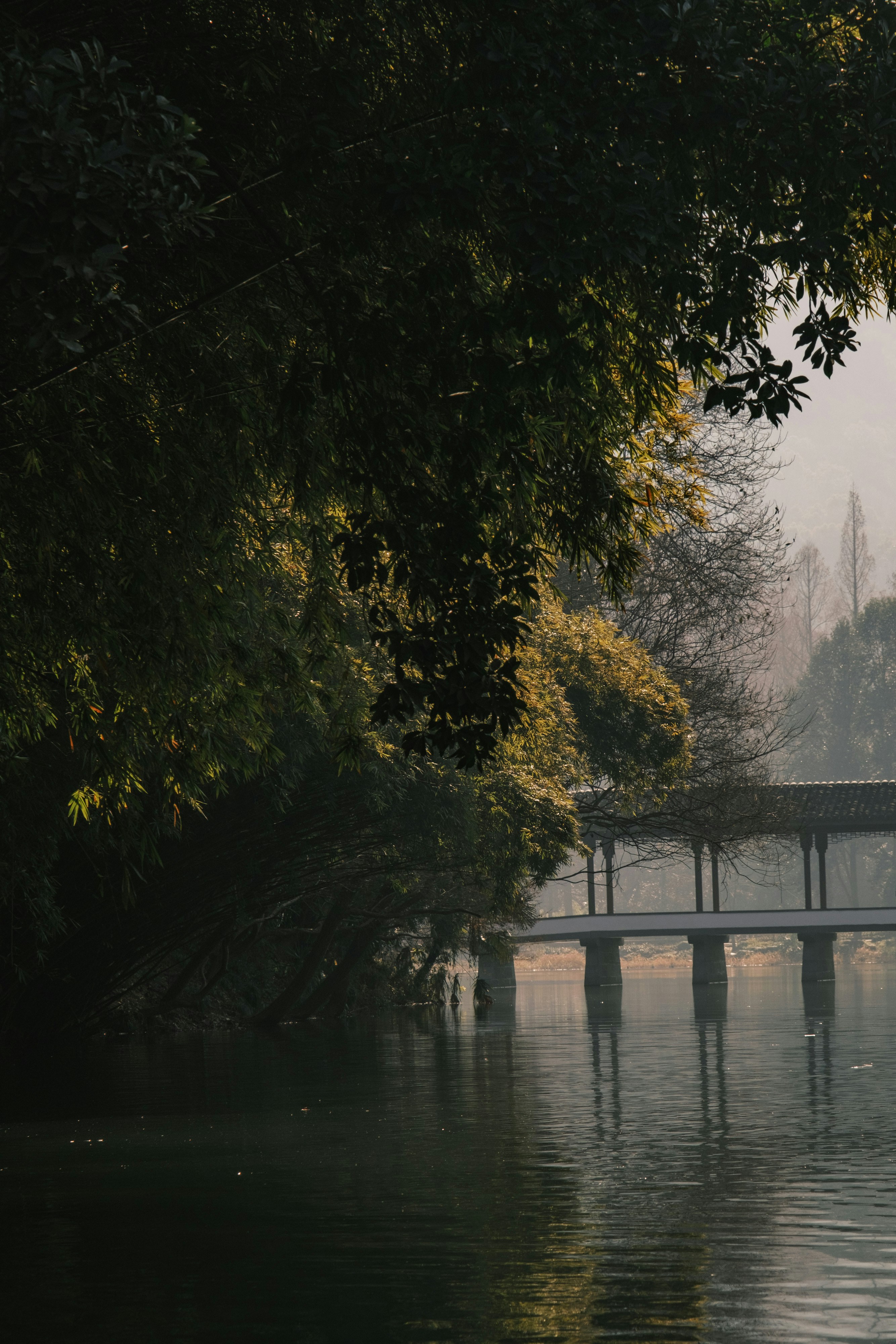 Photo by samuelwu