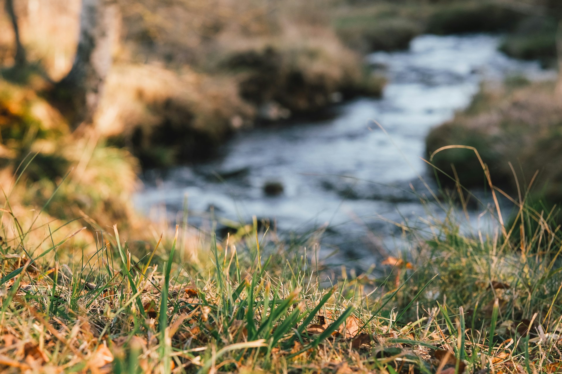 A blurry photo of a stream in the grass