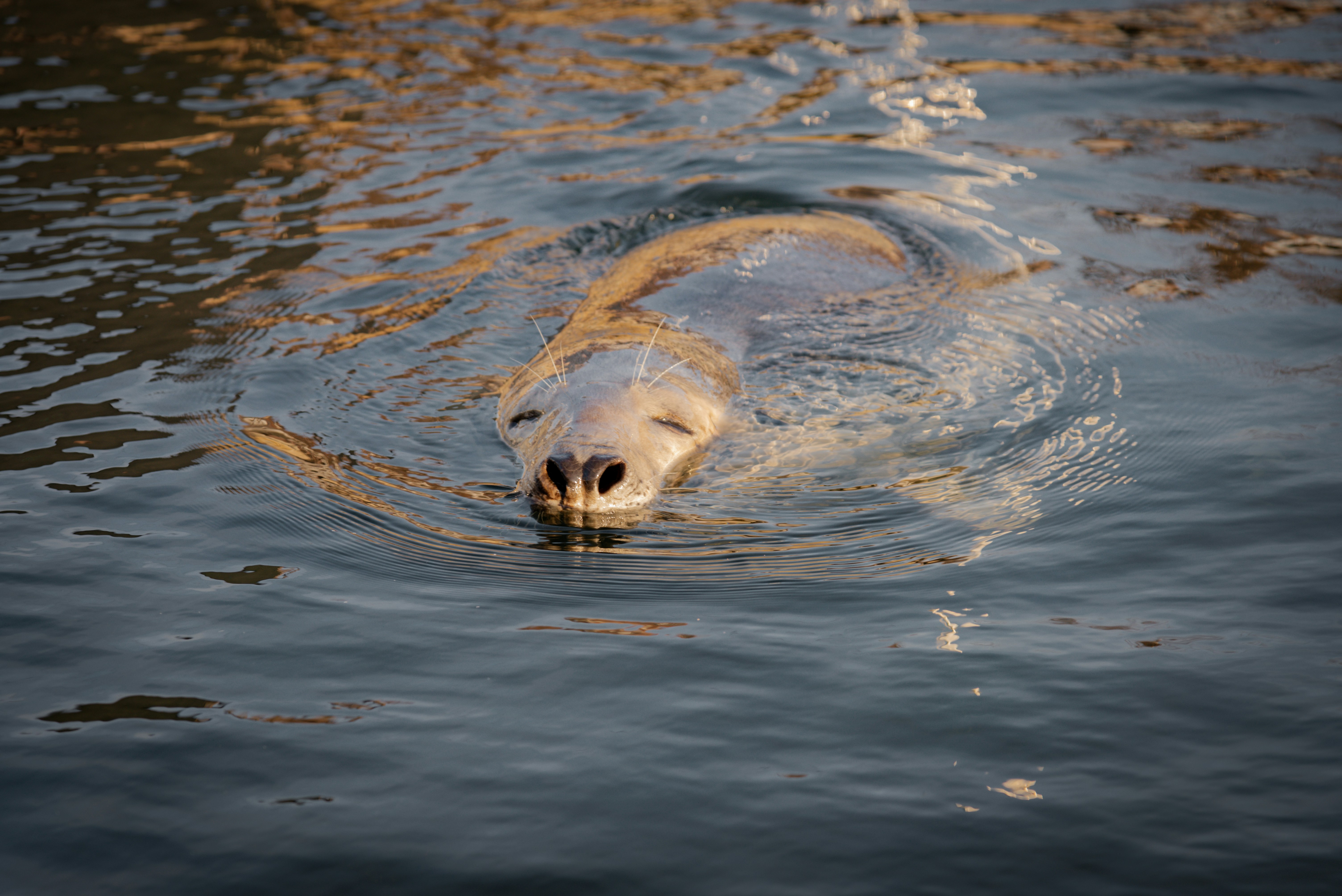 Photo by malwinanogaj