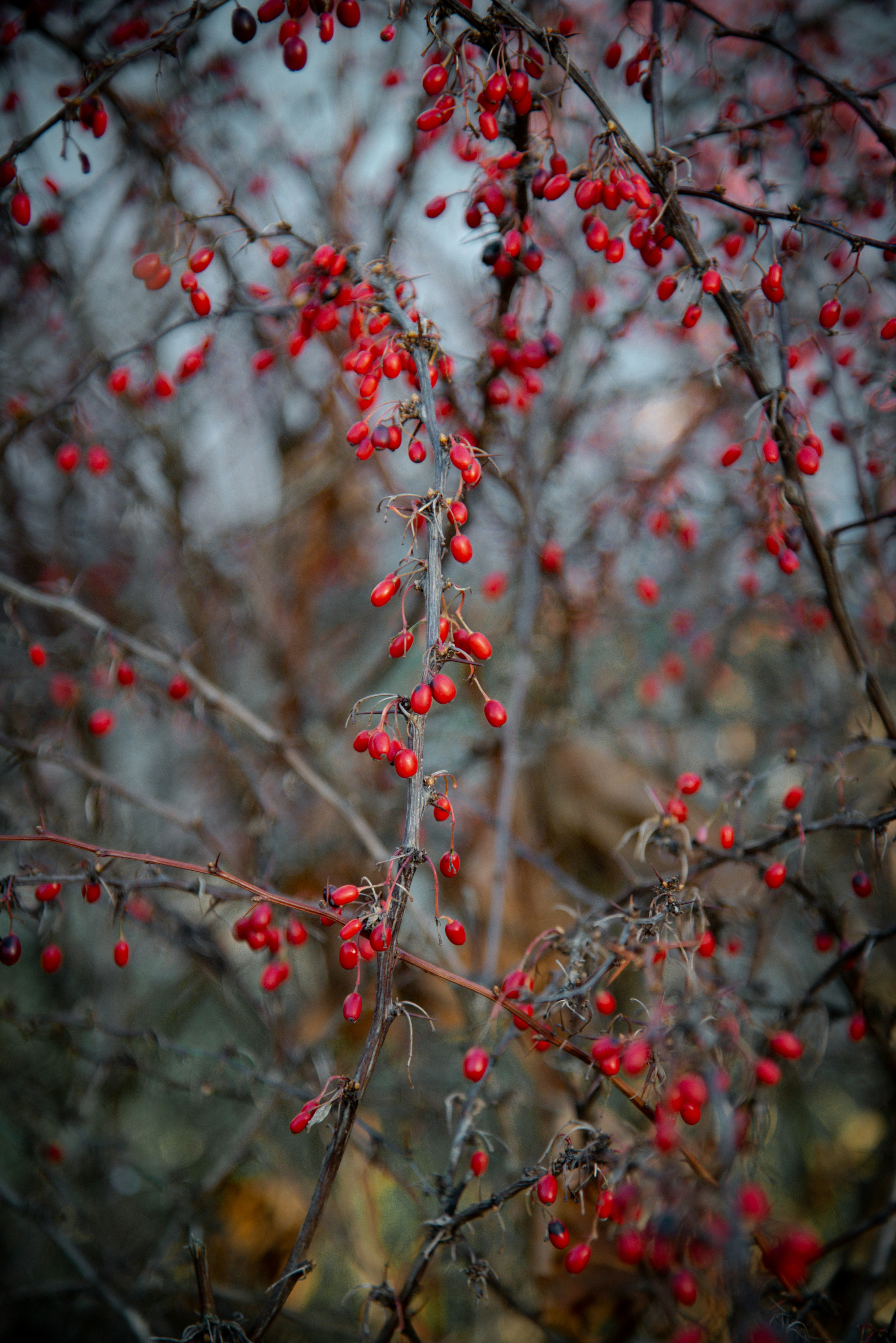 Photo by malwinanogaj