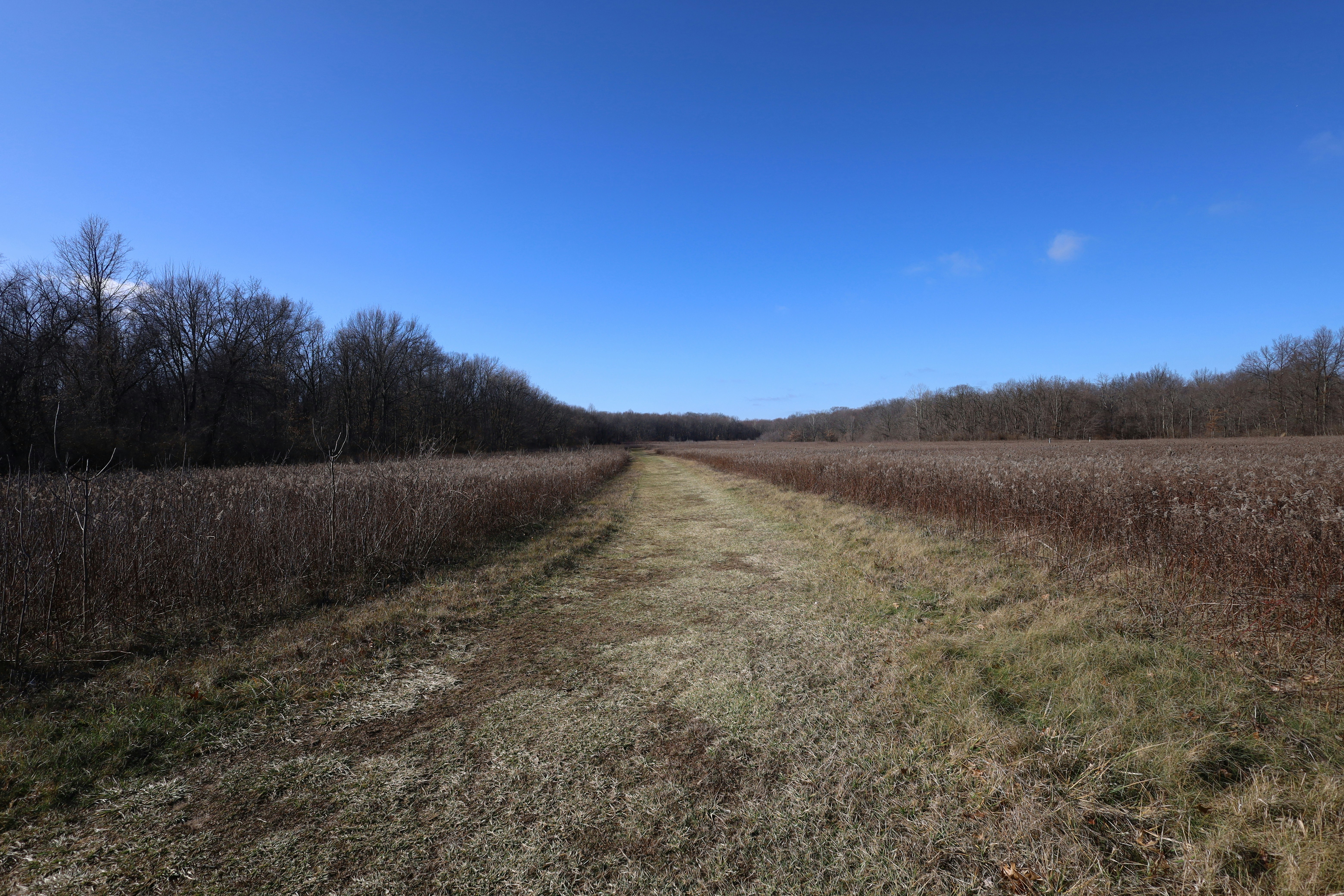 Photo by matchamochi