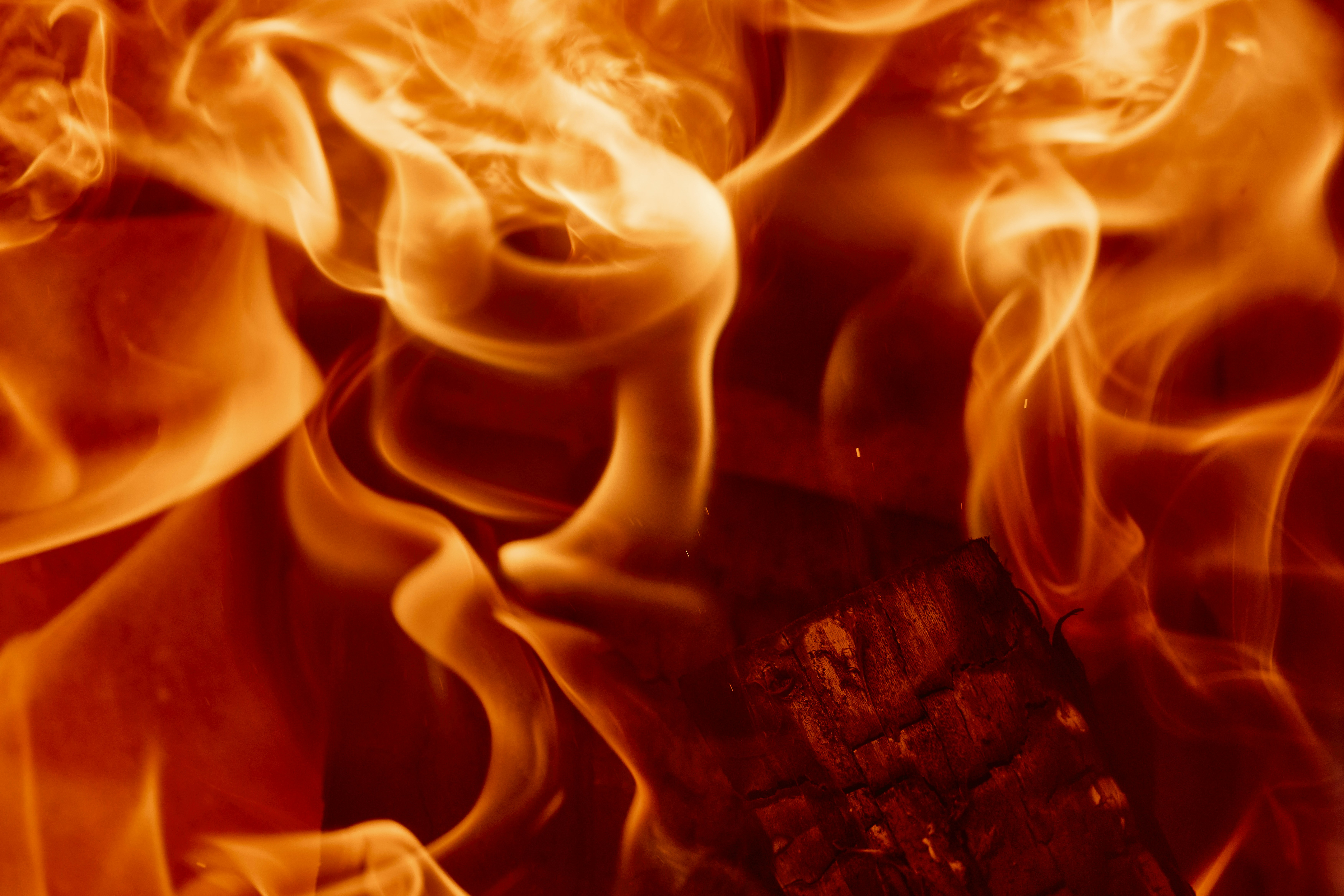 Photo by wolfgang_hasselmann