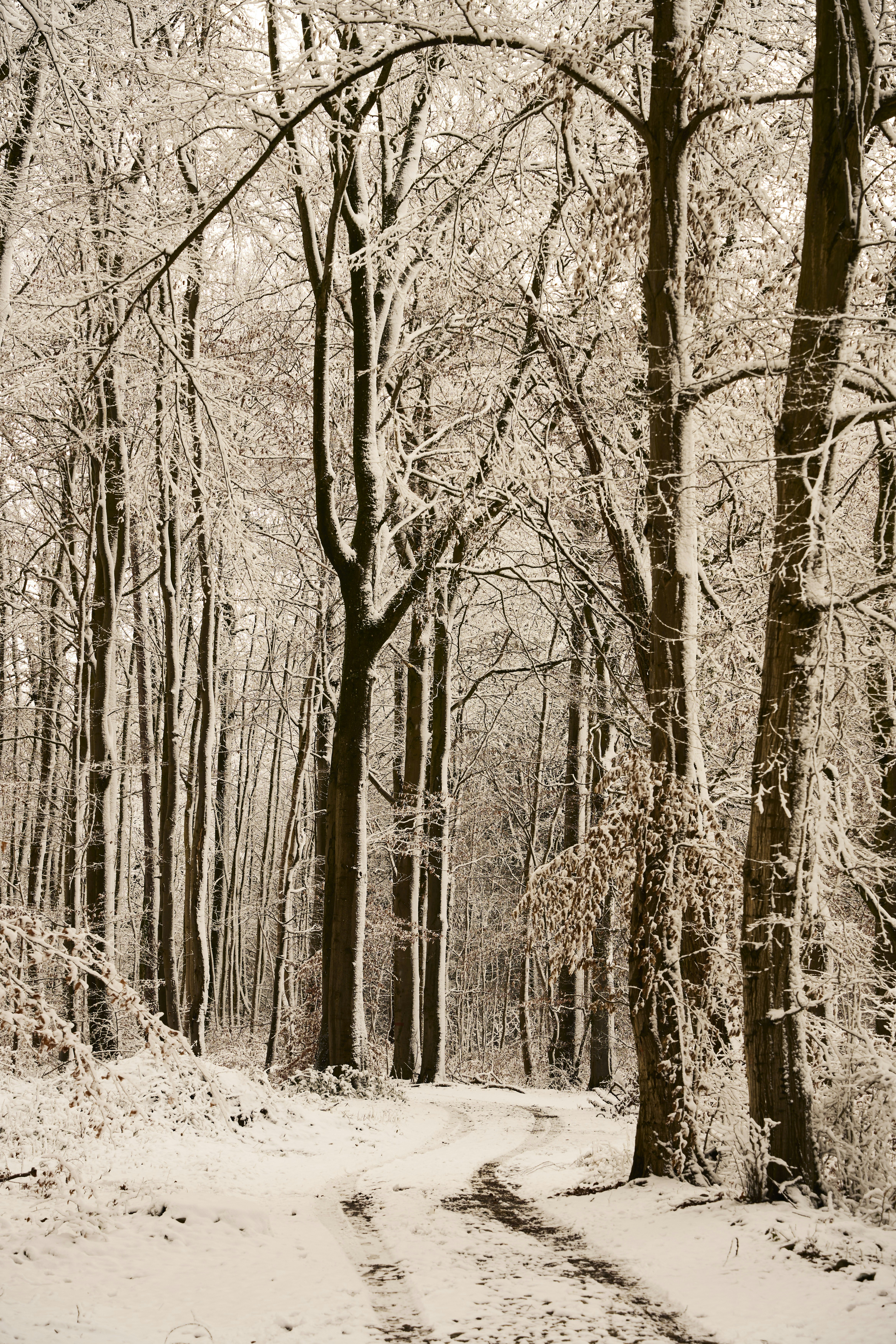 Photo by wolfgang_hasselmann