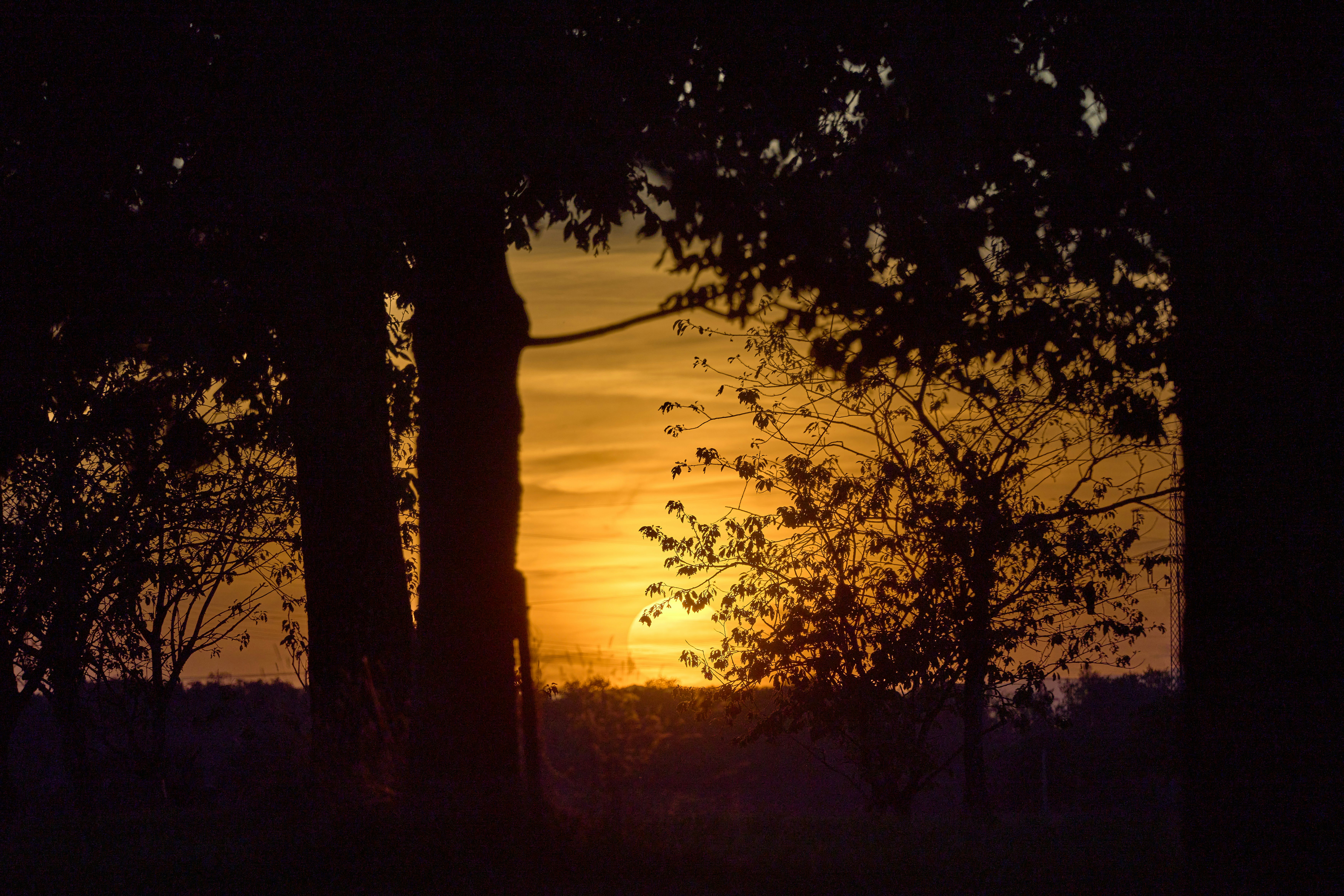 Photo by wolfgang_hasselmann