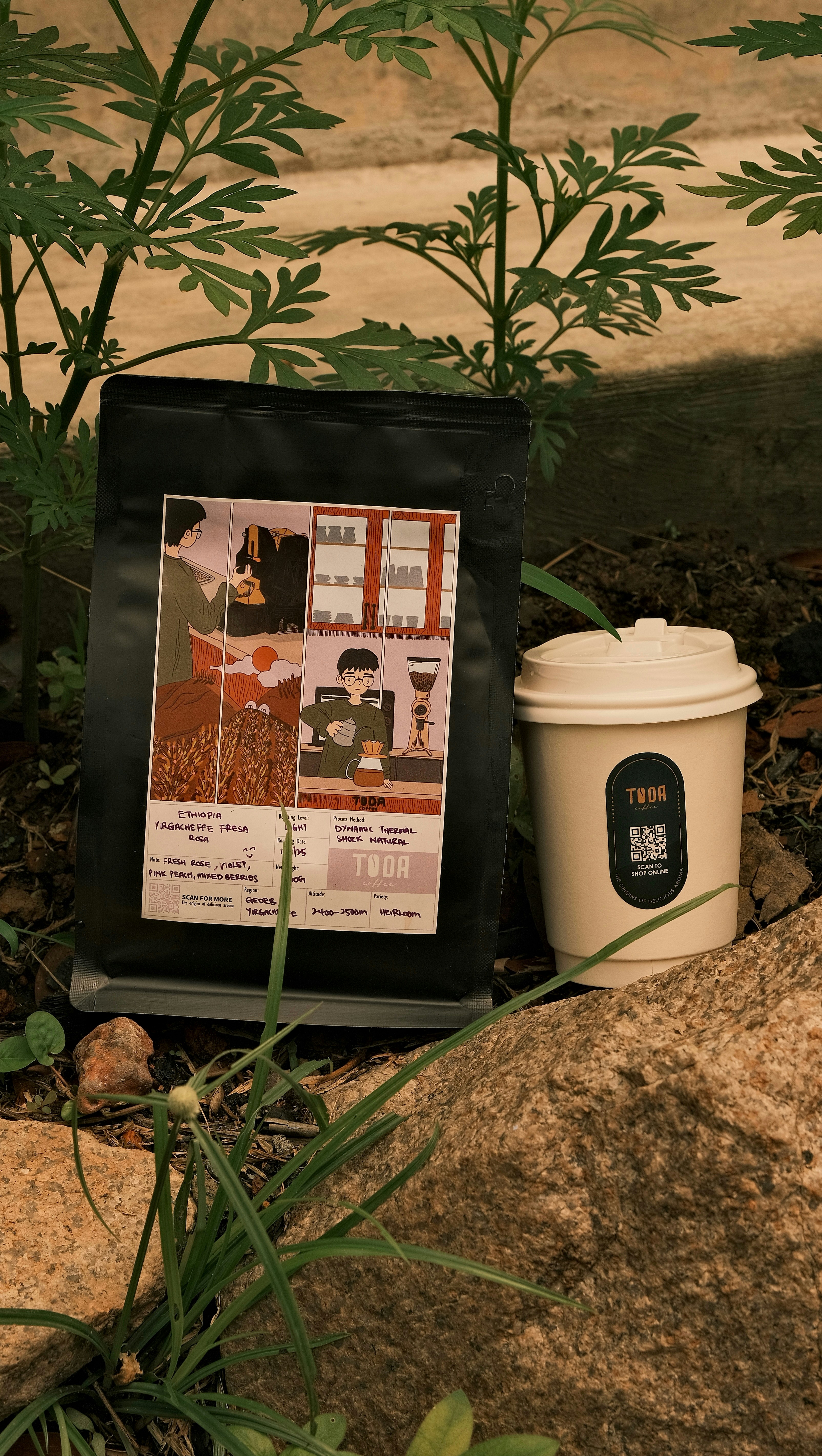 7 Specialty Coffee Farms Practicing Zero-Waste Methods
