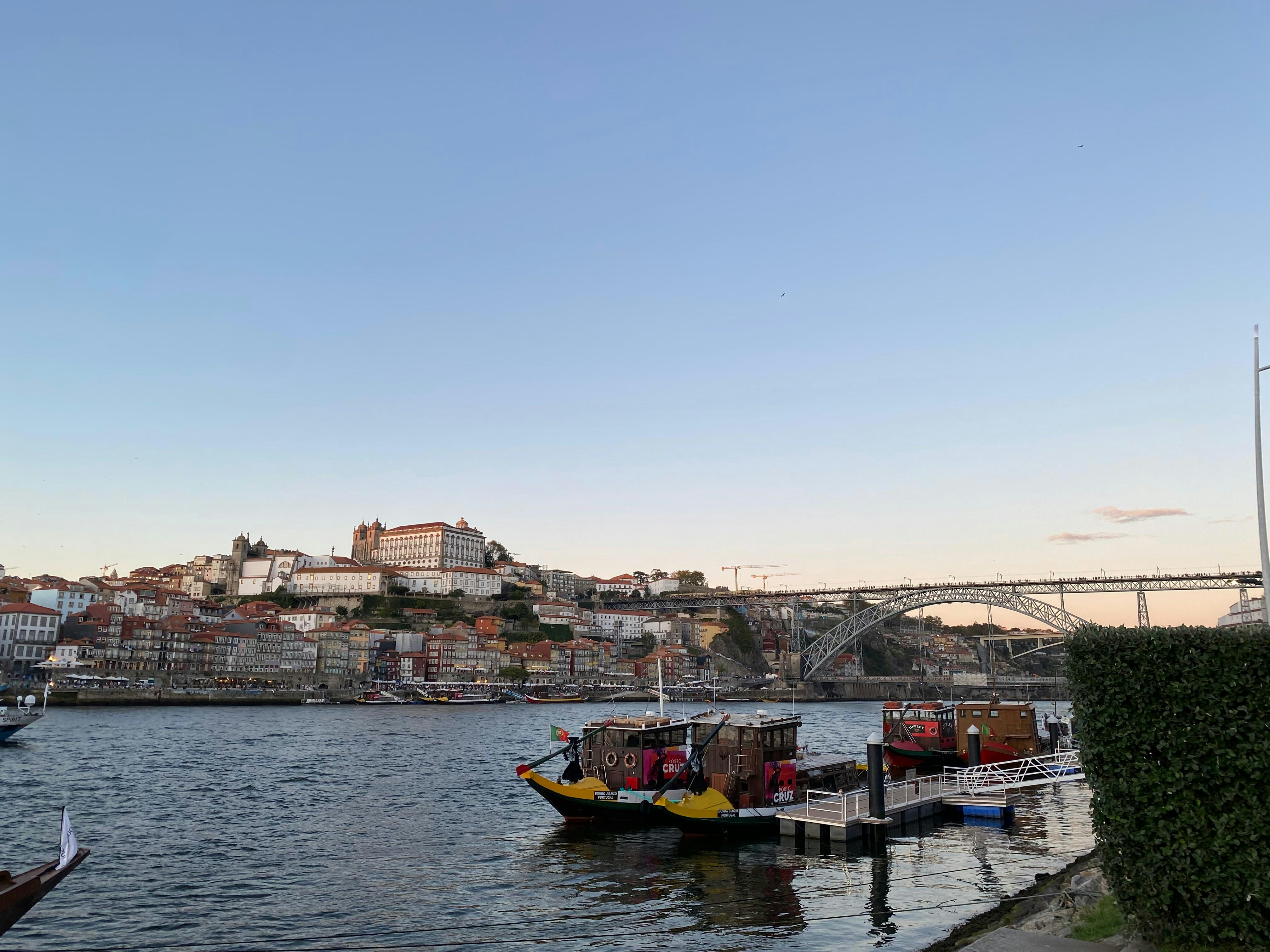 A body of water with a bunch of boats in it