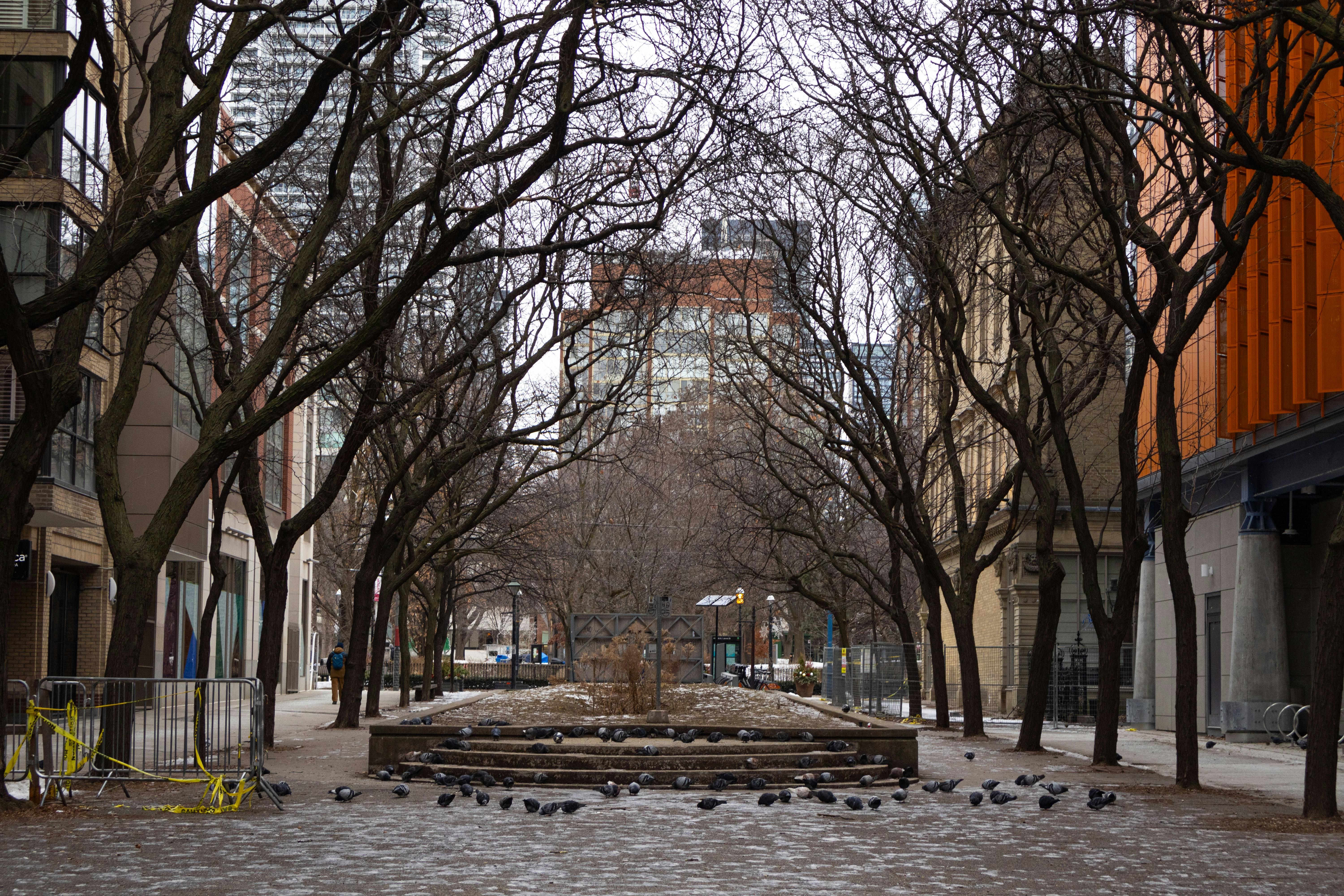 Photo by bruce_great