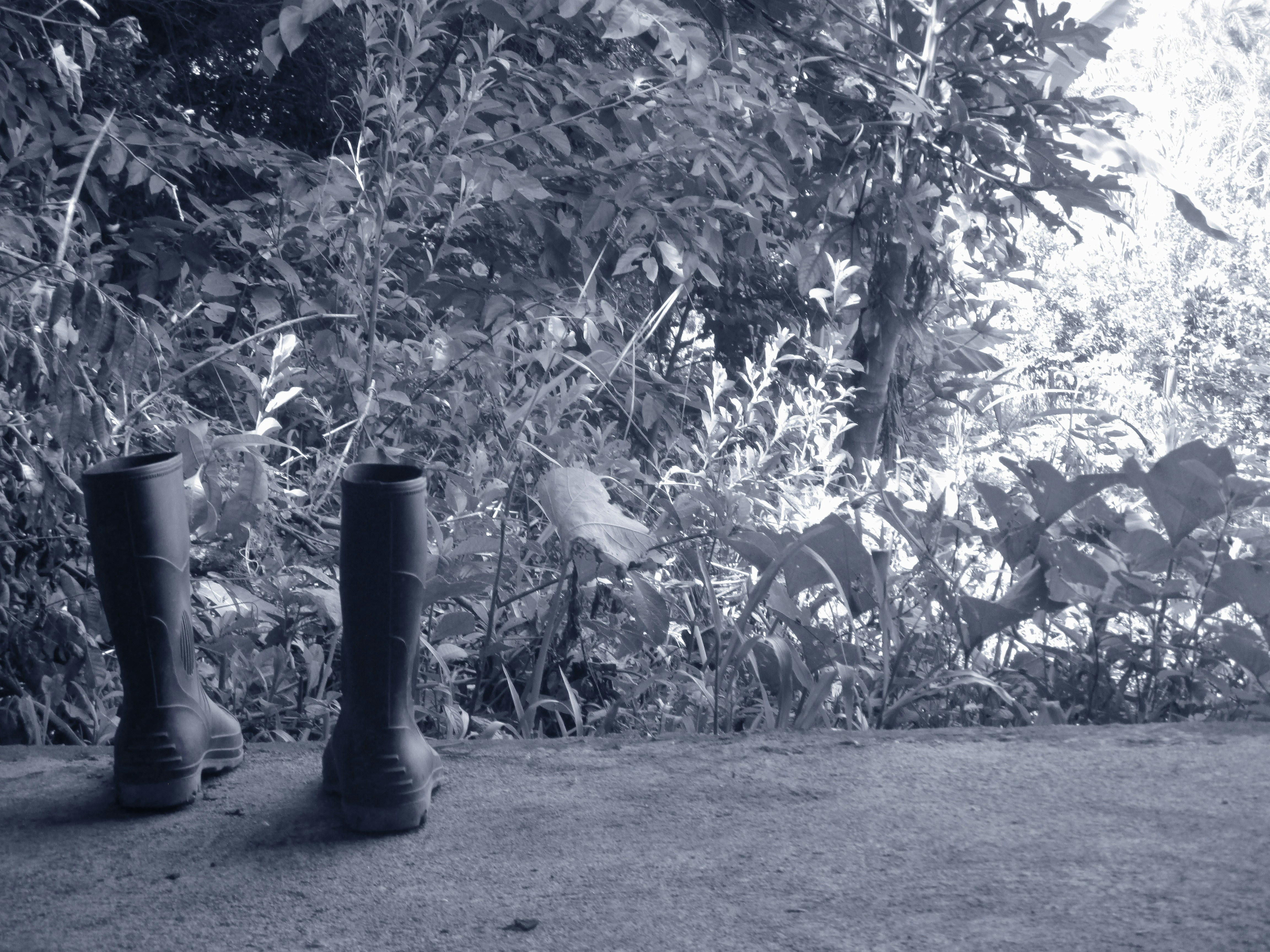 A black and white photo of a pair of boots