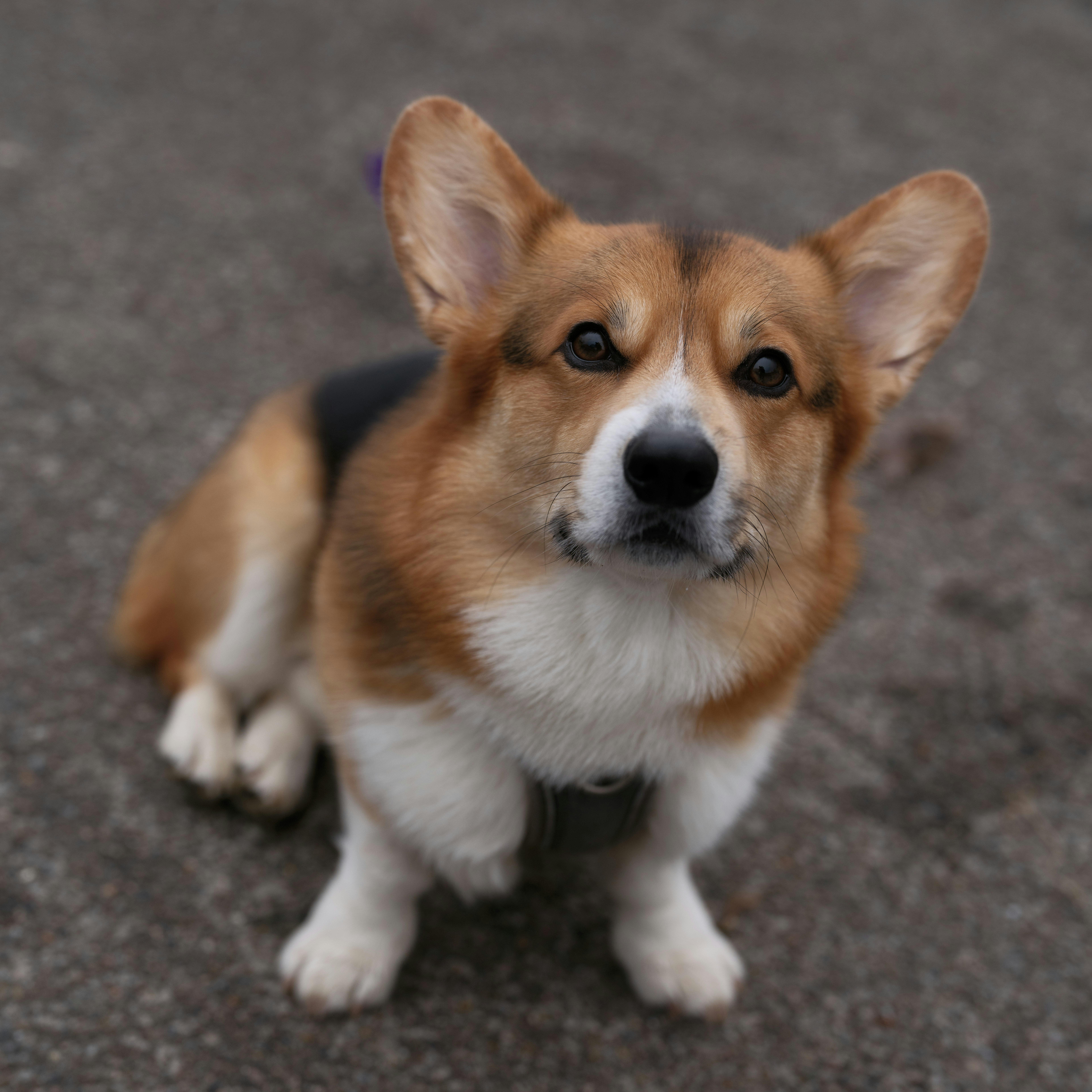 Photo by haberdoedas