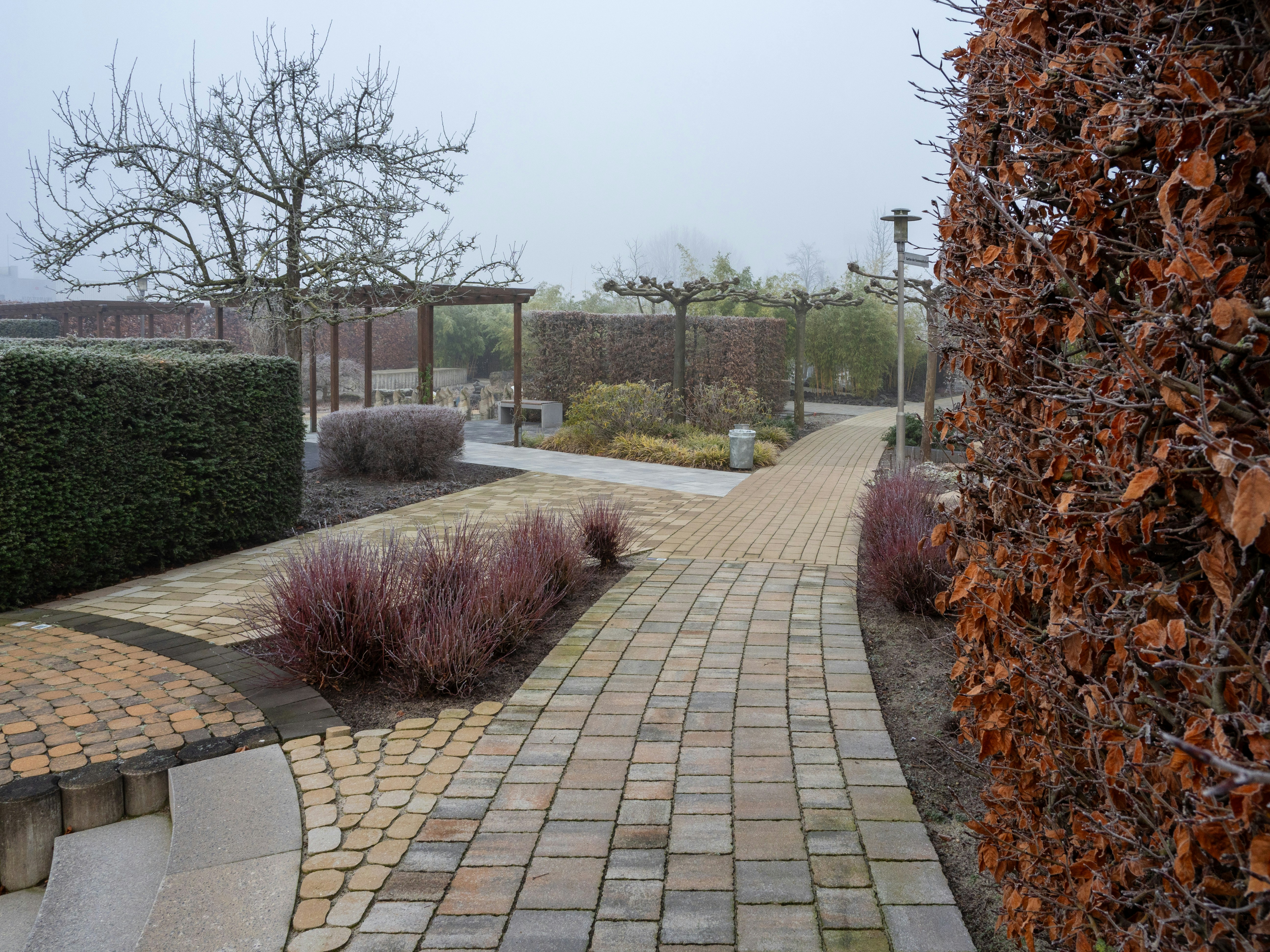 A brick walkway with a brick walkway between two trees