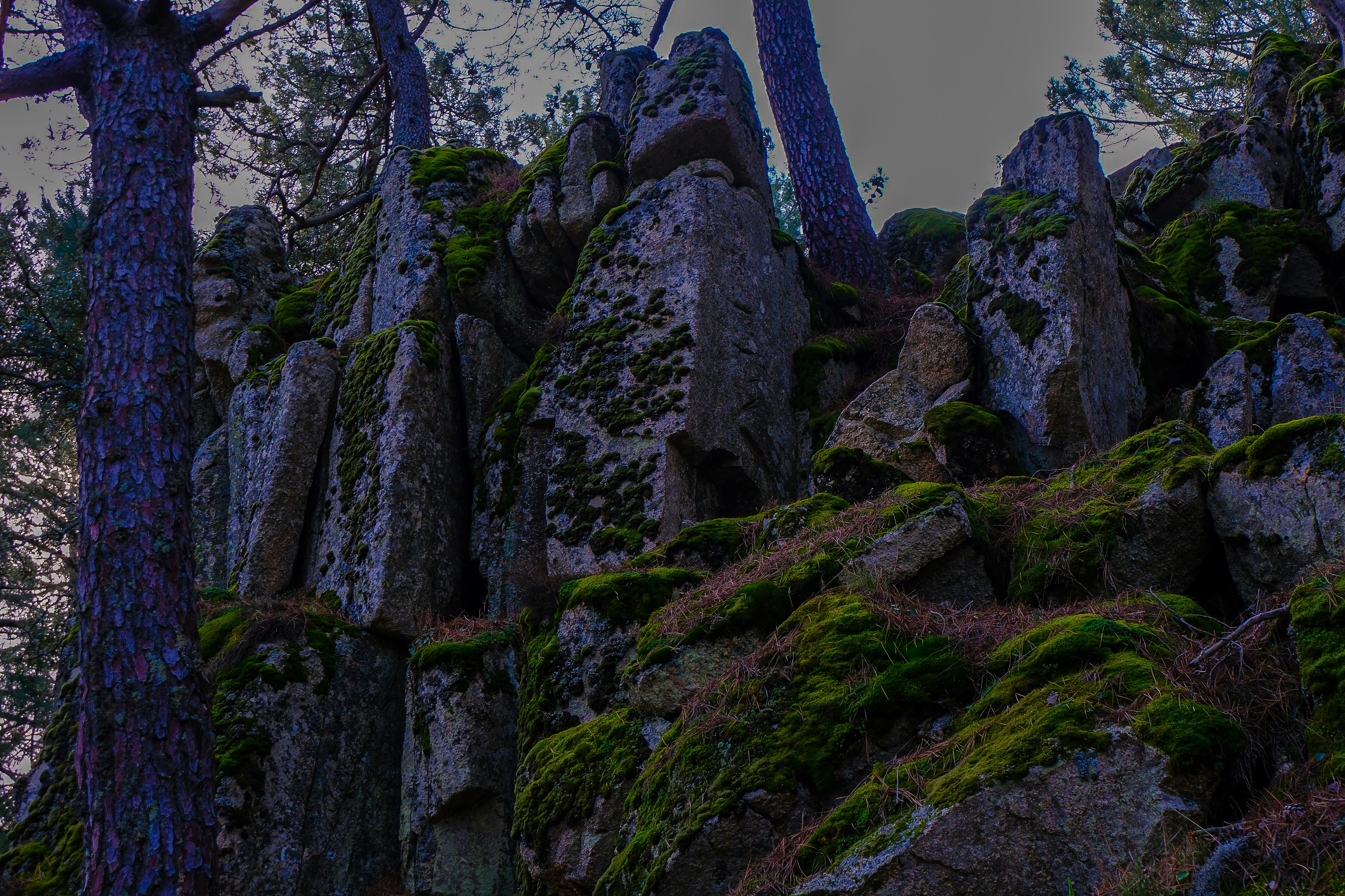 Photo by raulmermans