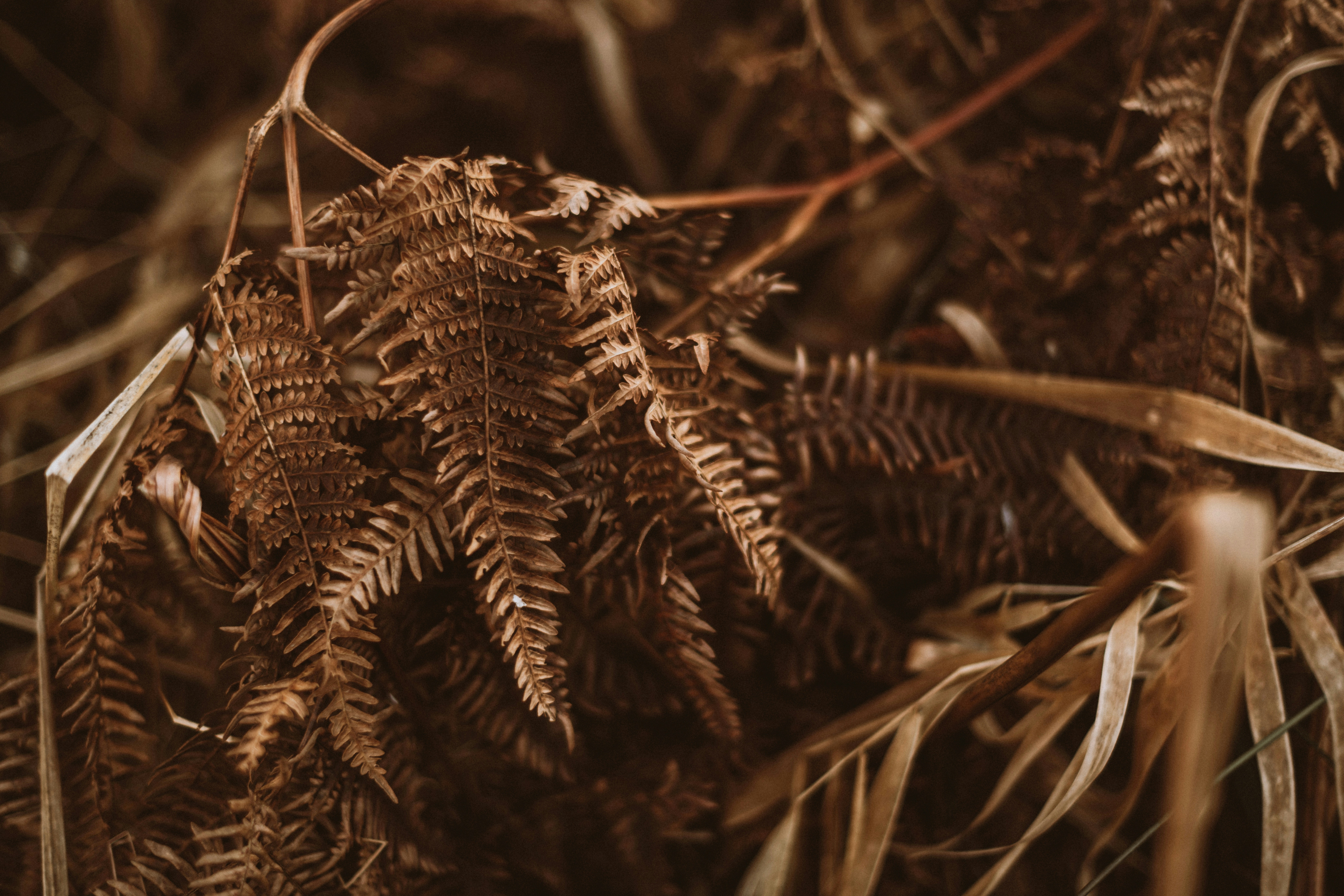 Photo by anitaaustvika