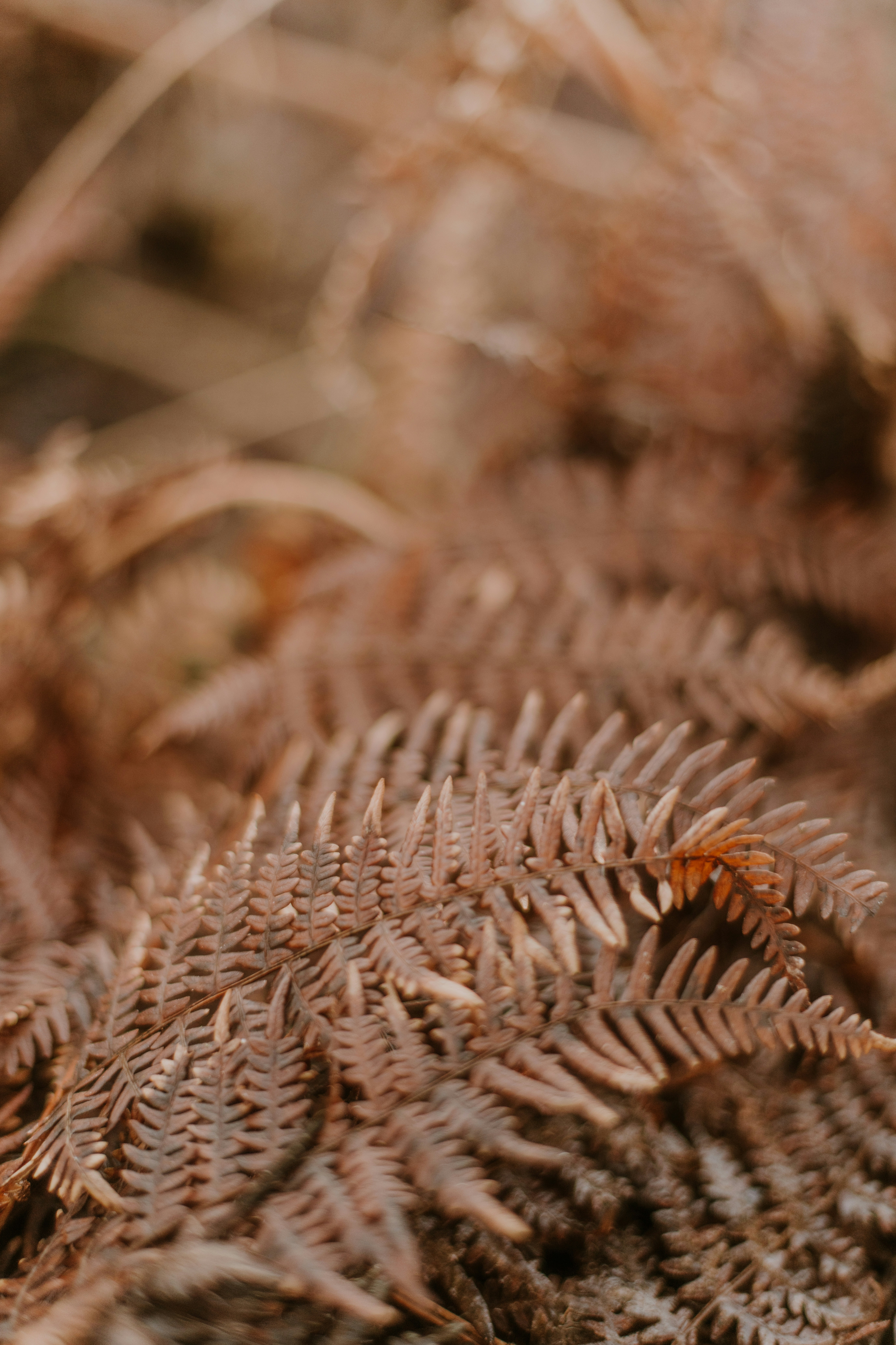 Photo by anitaaustvika