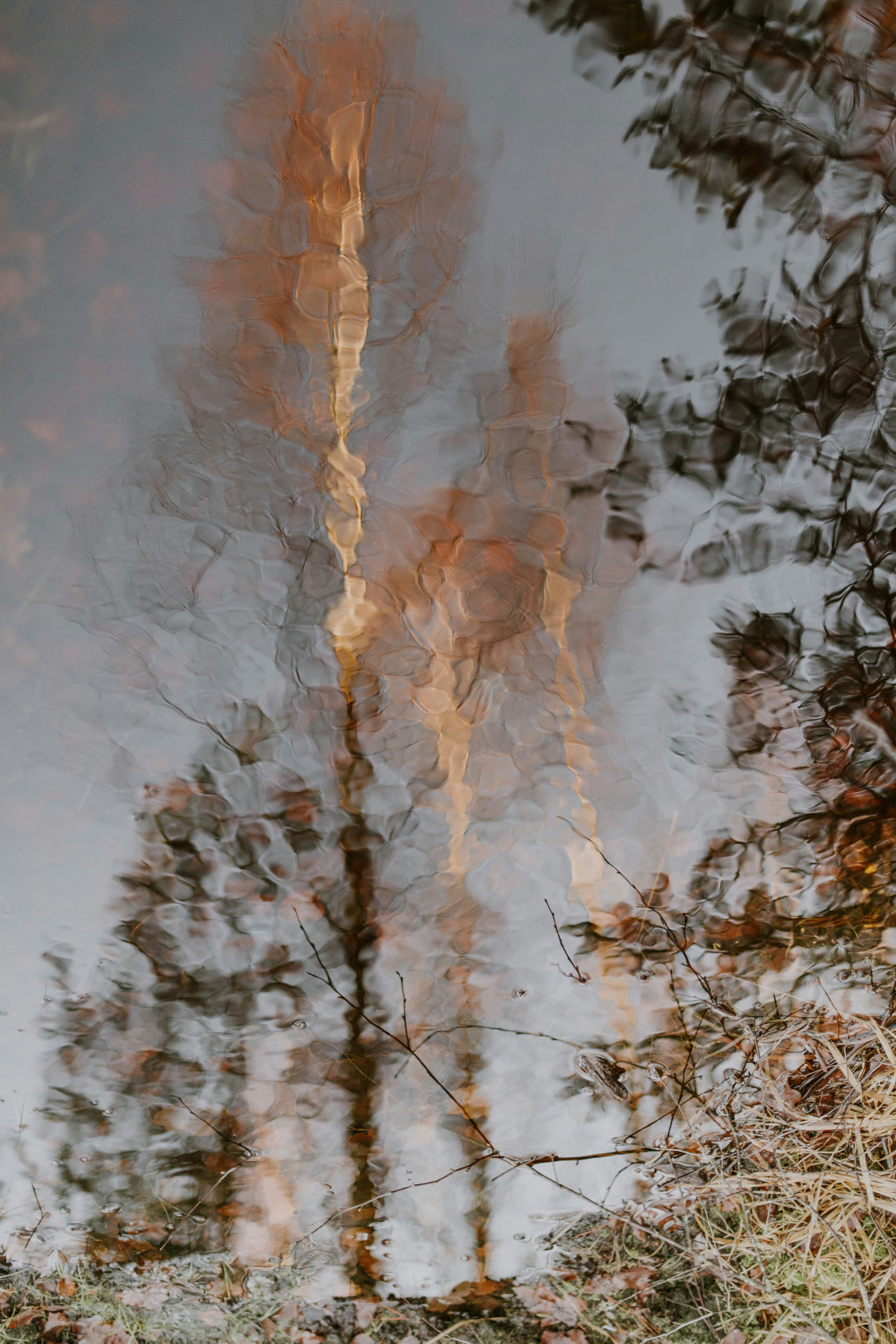 Photo by anitaaustvika