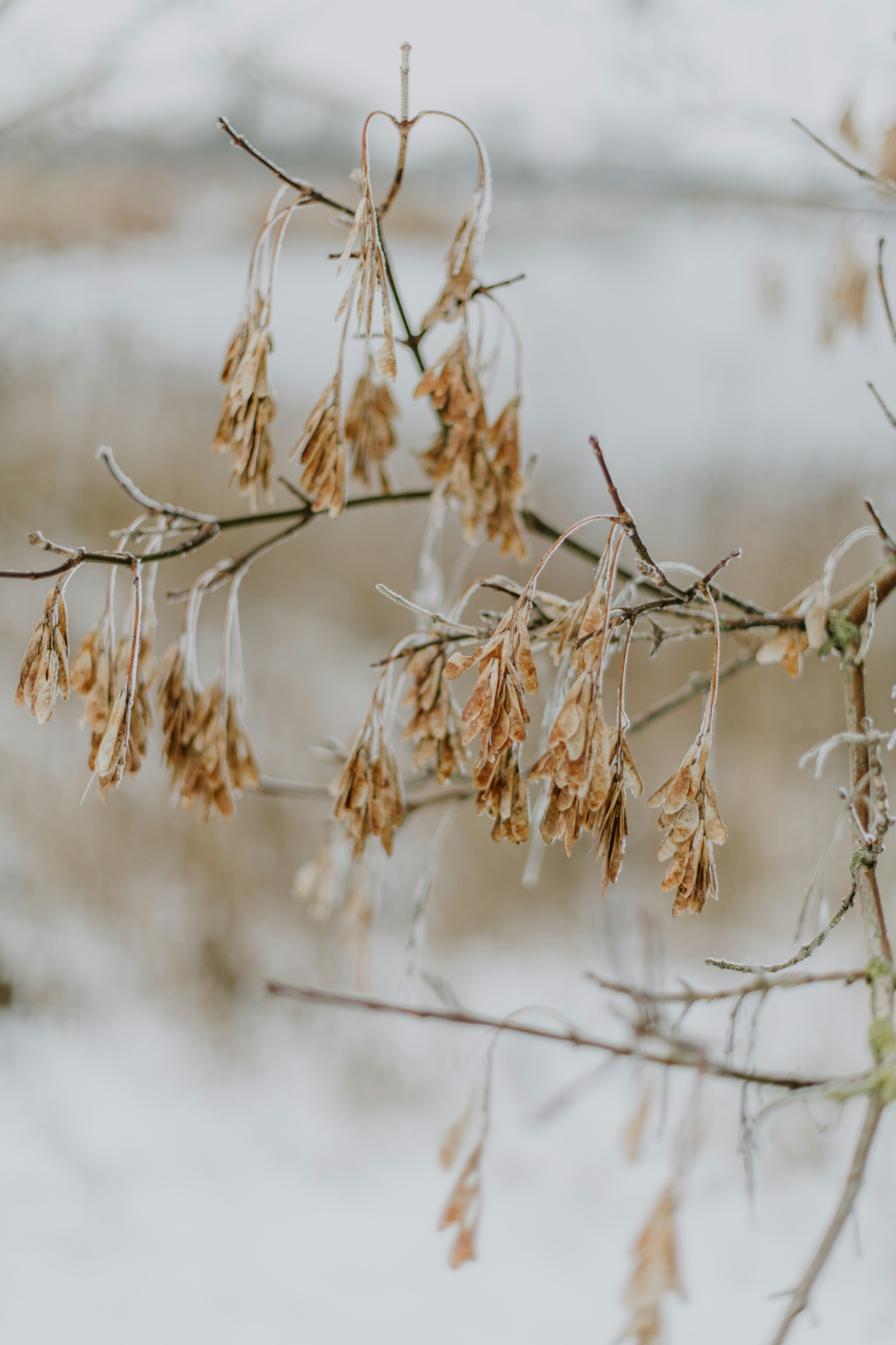 Photo by anitaaustvika