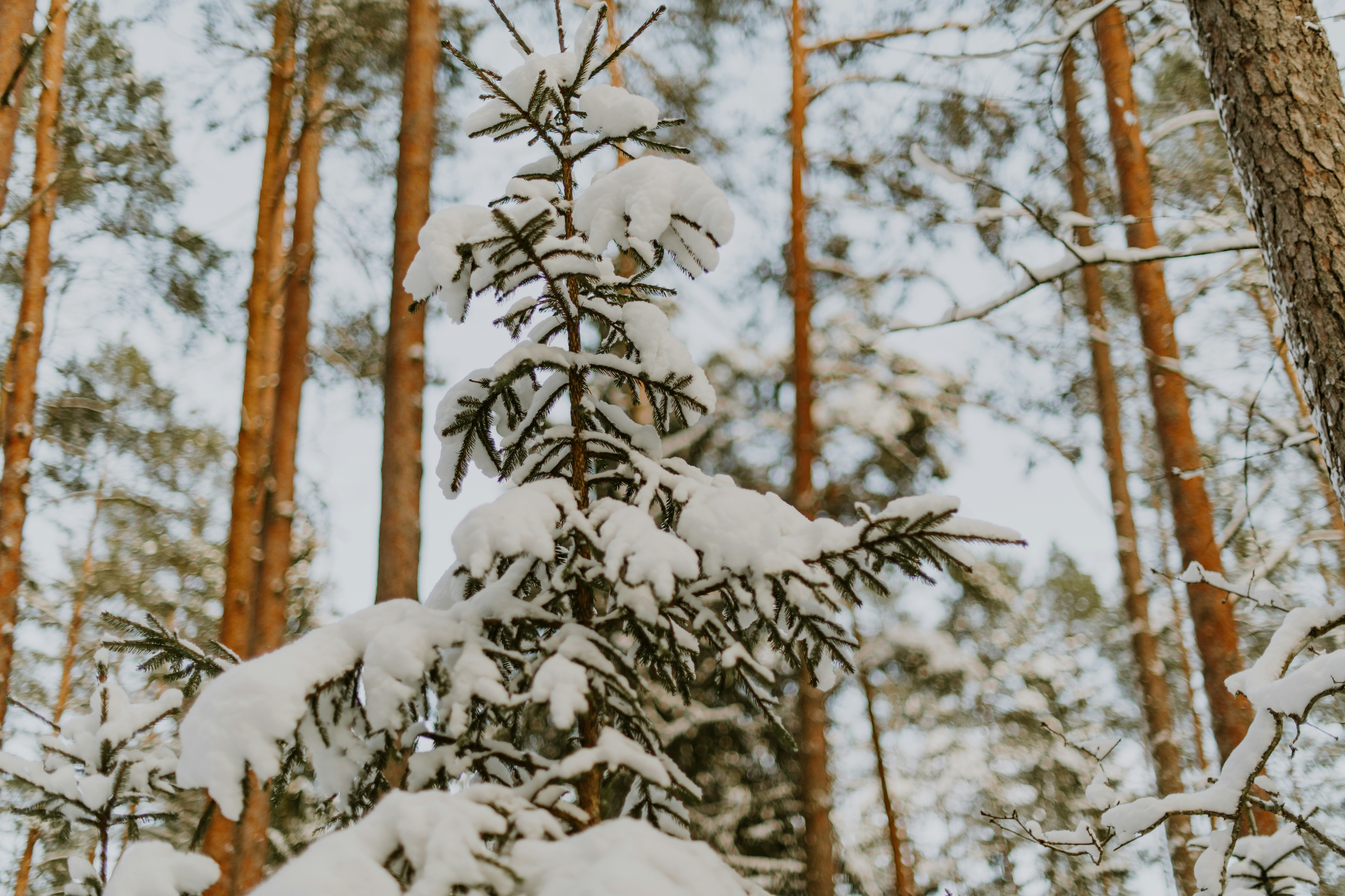 Photo by anitaaustvika