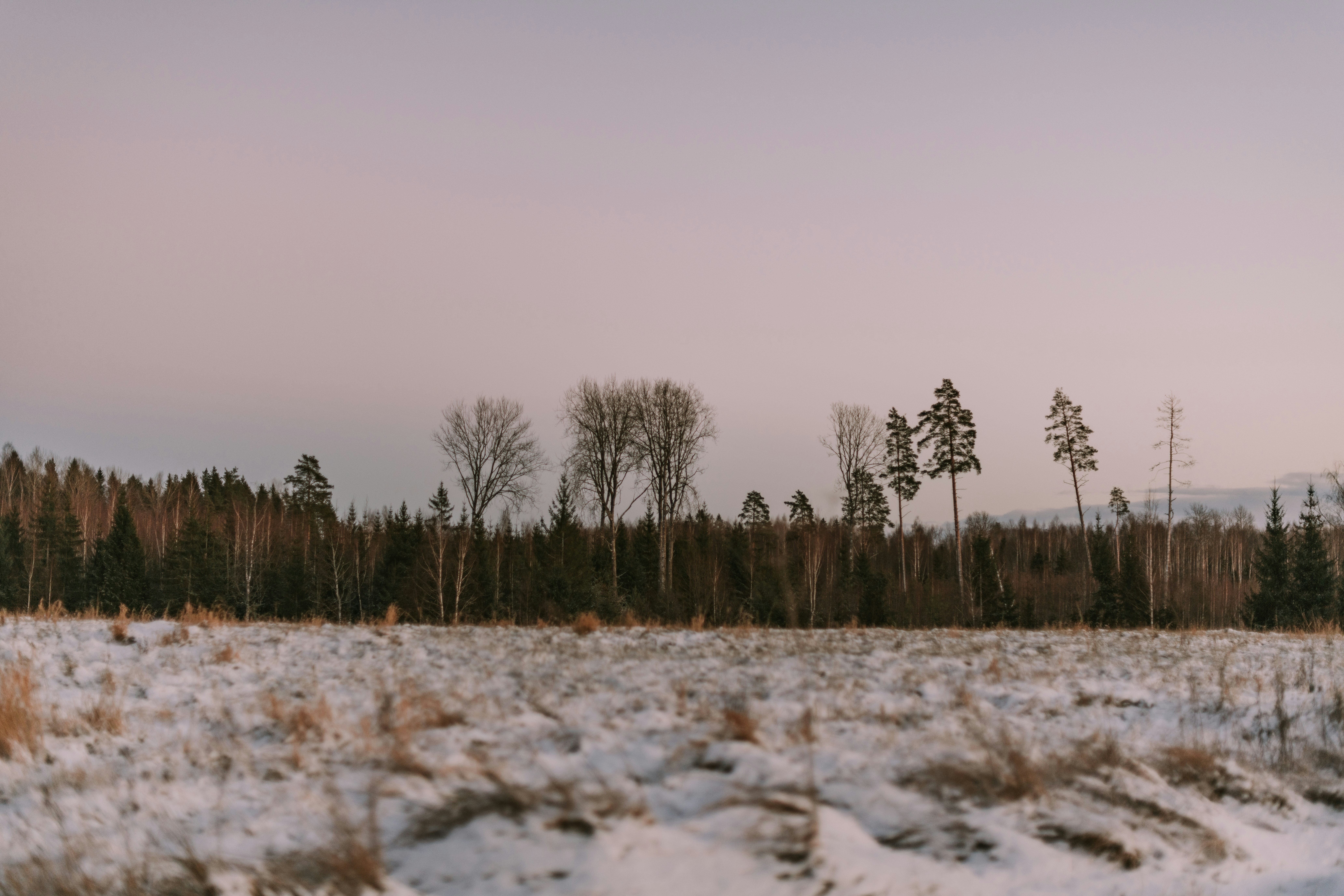 Photo by anitaaustvika